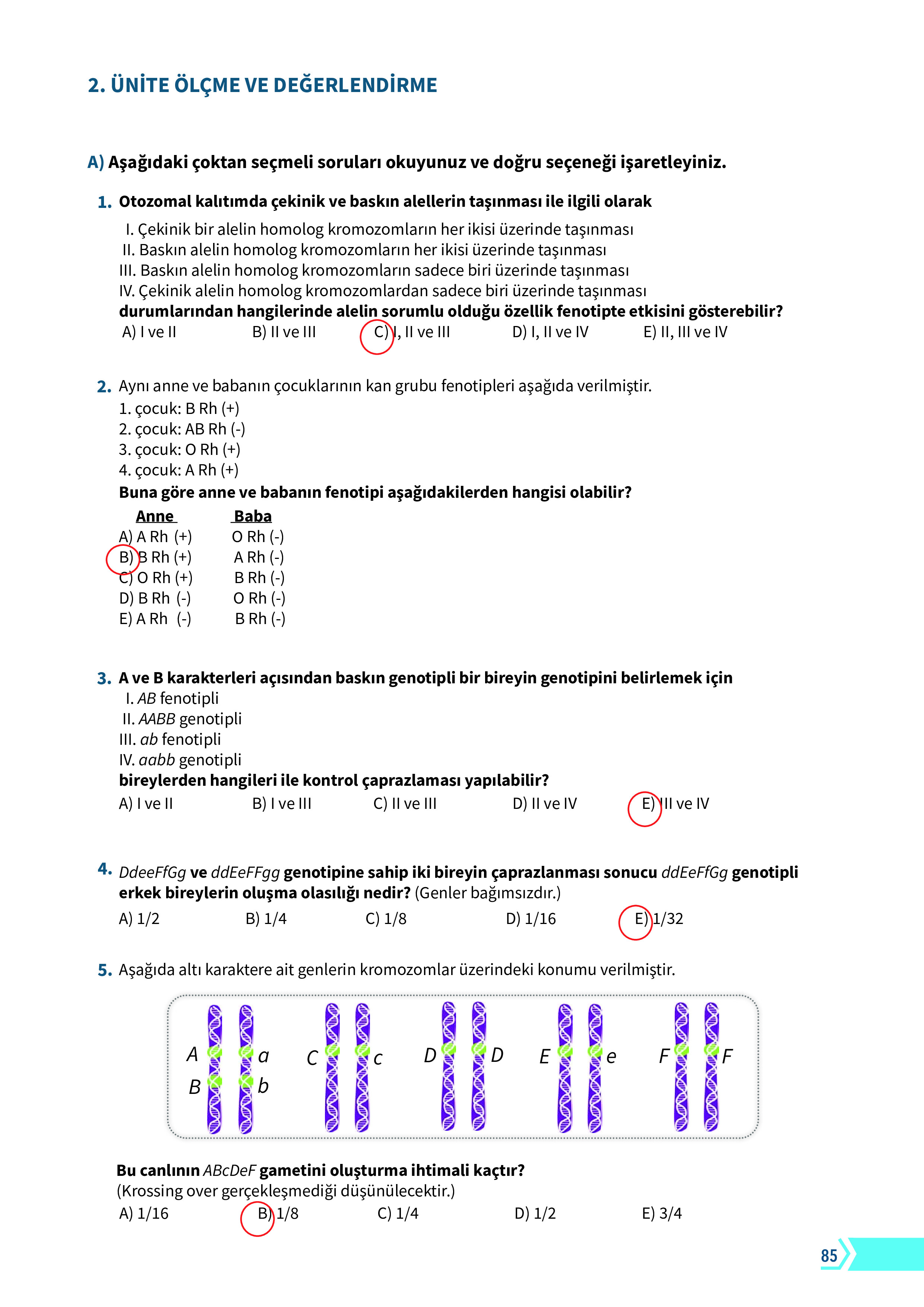 10. Sınıf Meb Yayınları Fen Lisesi Biyoloji Ders Kitabı Sayfa 85 Cevapları 10. Sınıf Meb Yayınları Fen Lisesi Biyoloji Ders Kitabı Sayfa 85 Cevapları