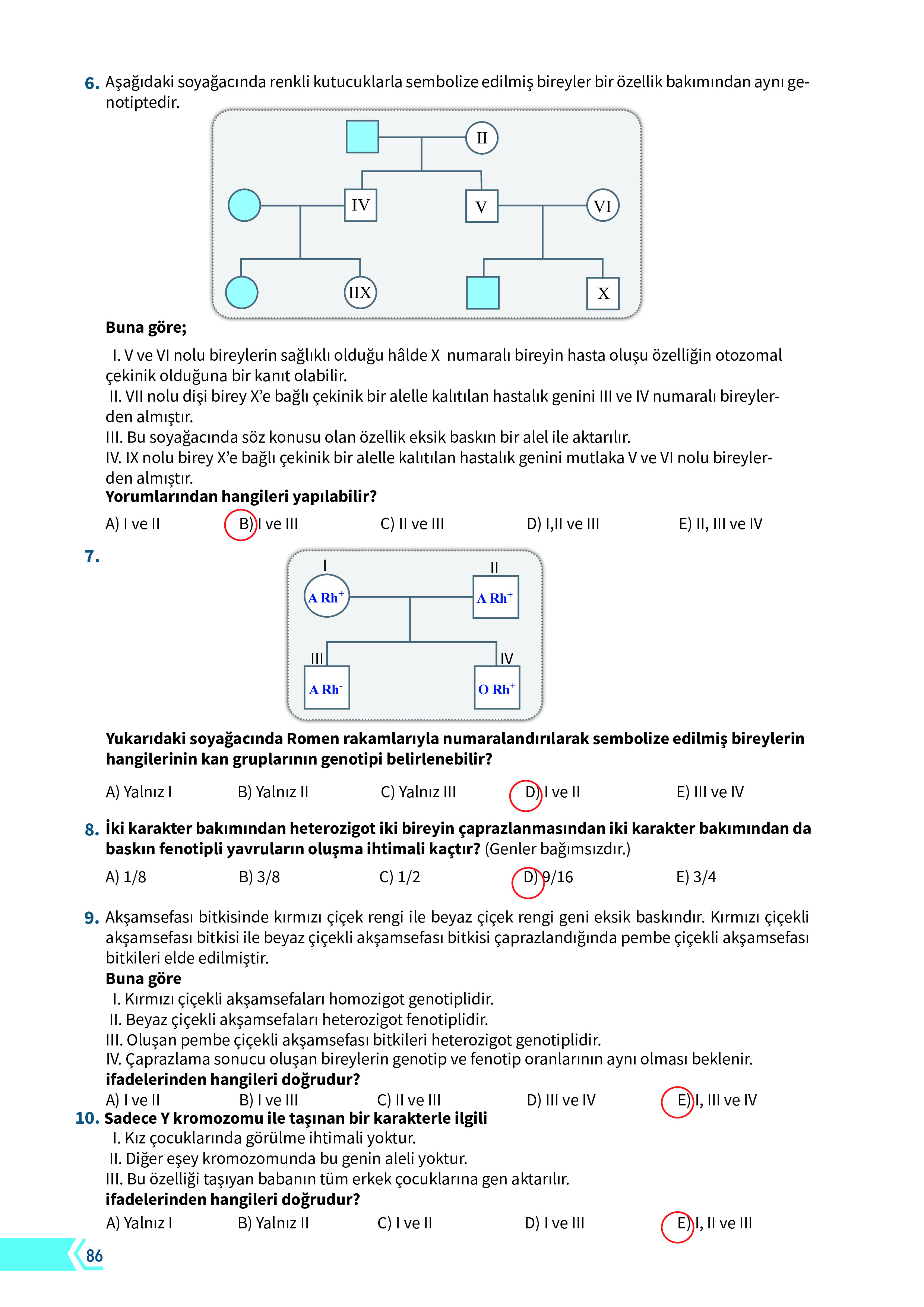 10. Sınıf Meb Yayınları Fen Lisesi Biyoloji Ders Kitabı Sayfa 86 Cevapları 10. Sınıf Meb Yayınları Fen Lisesi Biyoloji Ders Kitabı Sayfa 86 Cevapları