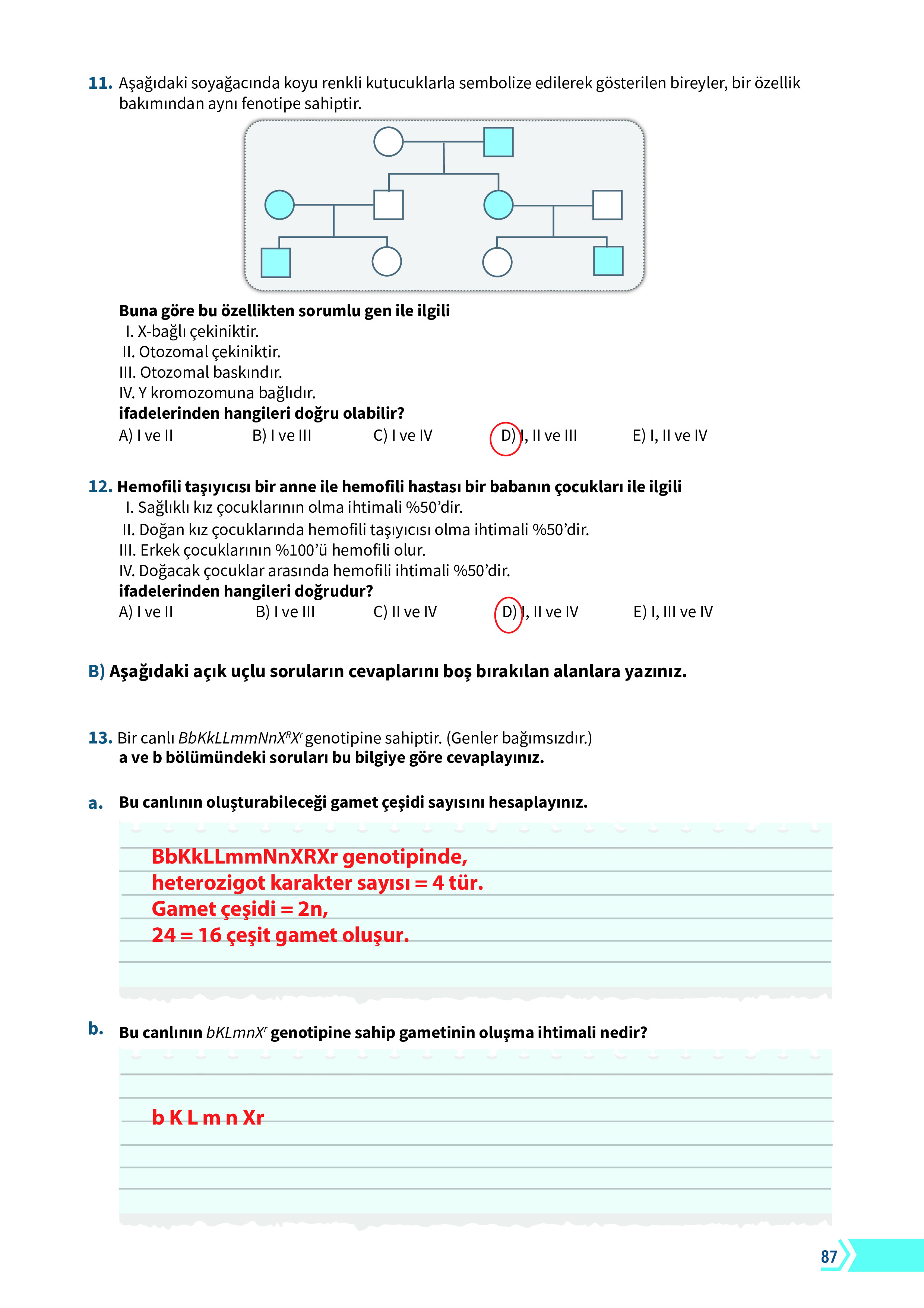 10. Sınıf Meb Yayınları Fen Lisesi Biyoloji Ders Kitabı Sayfa 87 Cevapları