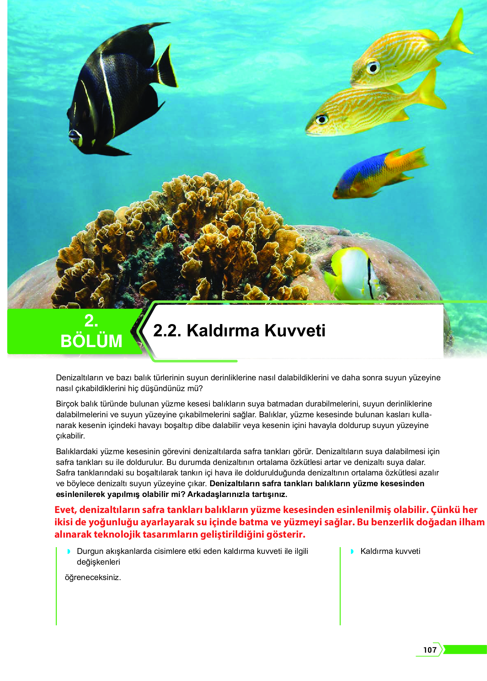 10. Sınıf Meb Yayınları Fen Lisesi Fizik Ders Kitabı Sayfa 107 Cevapları