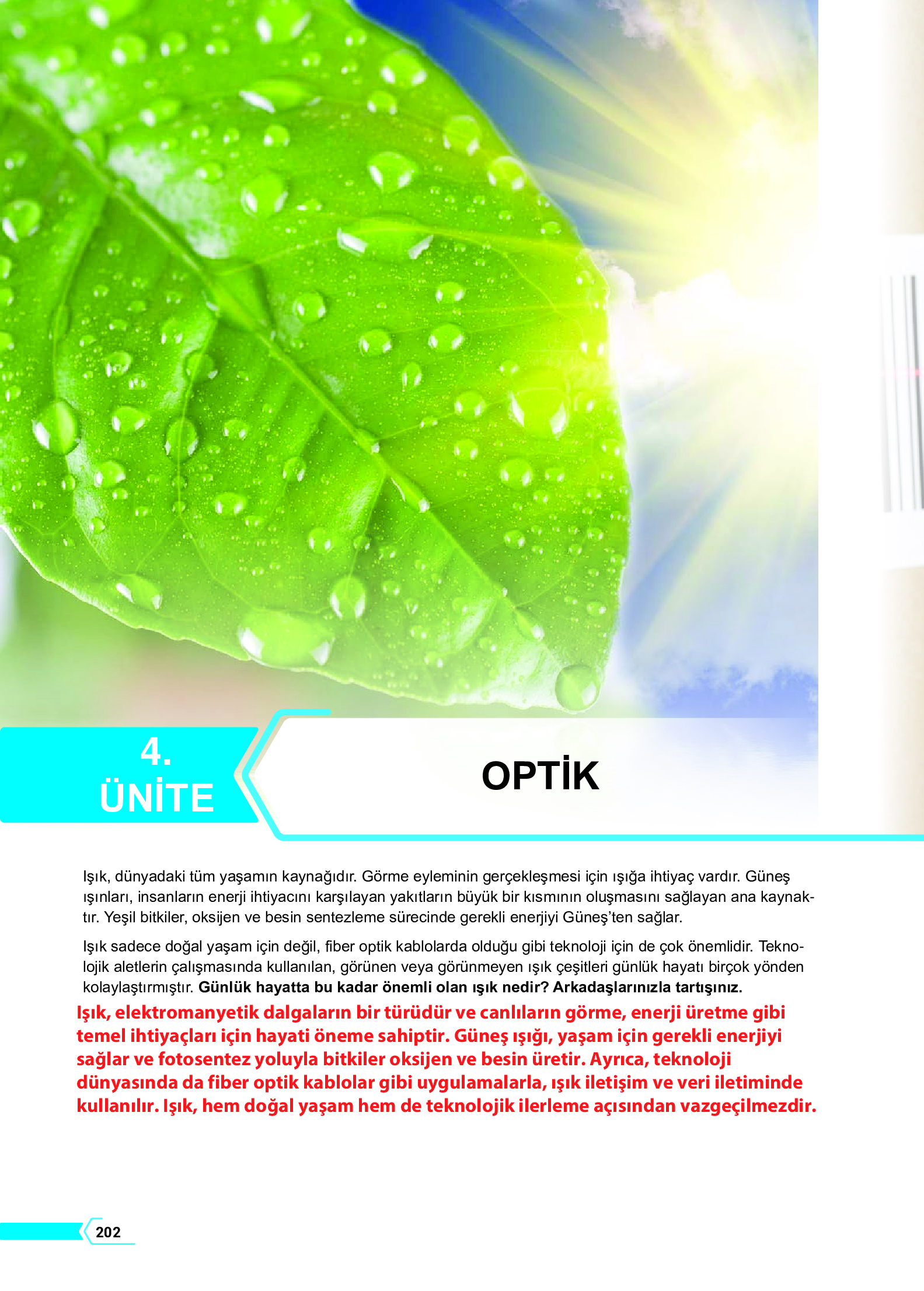 10. Sınıf Meb Yayınları Fen Lisesi Fizik Ders Kitabı Sayfa 202 Cevapları 10. Sınıf Meb Yayınları Fen Lisesi Fizik Ders Kitabı Sayfa 202 Cevapları