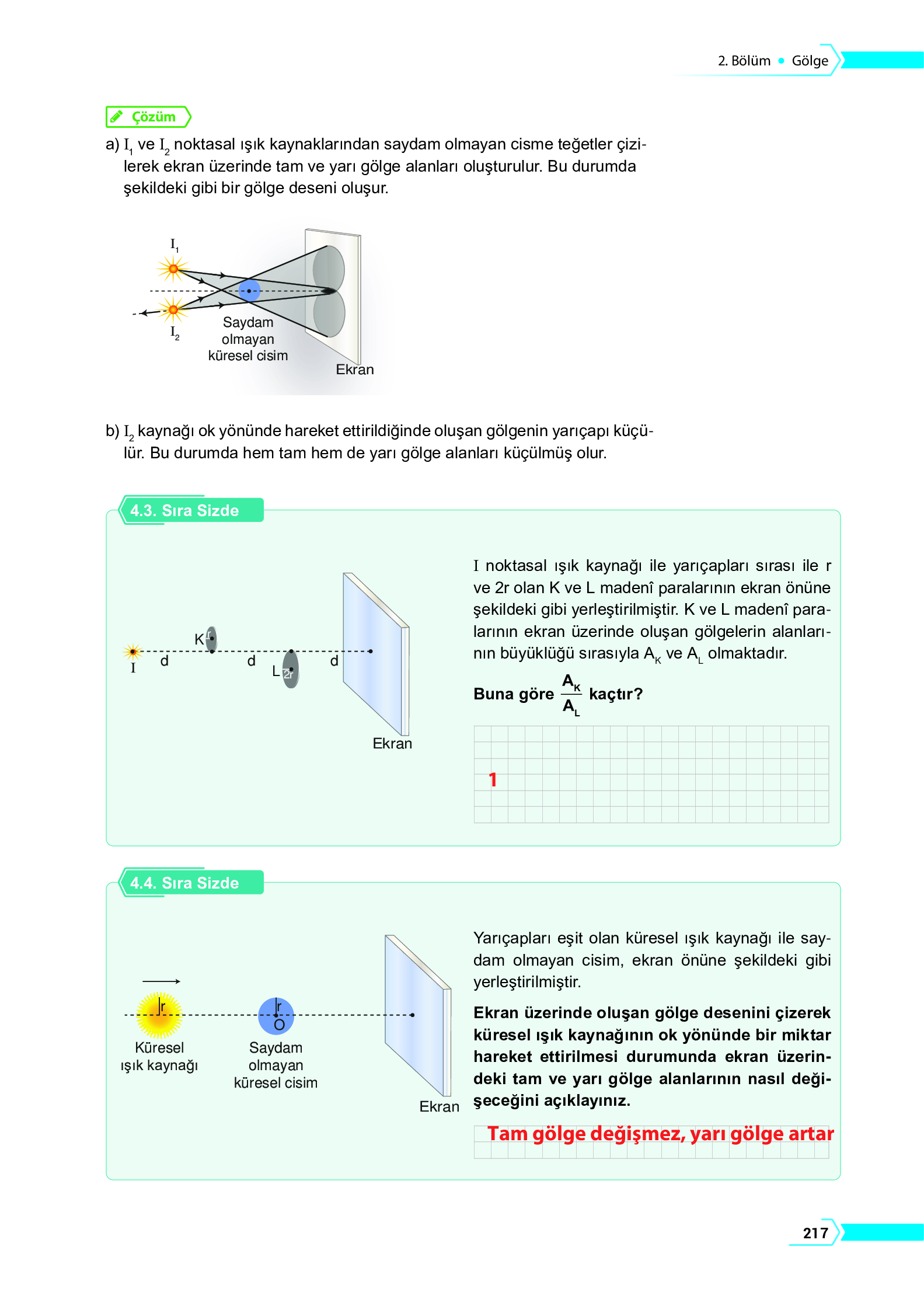 10. Sınıf Meb Yayınları Fen Lisesi Fizik Ders Kitabı Sayfa 217 Cevapları