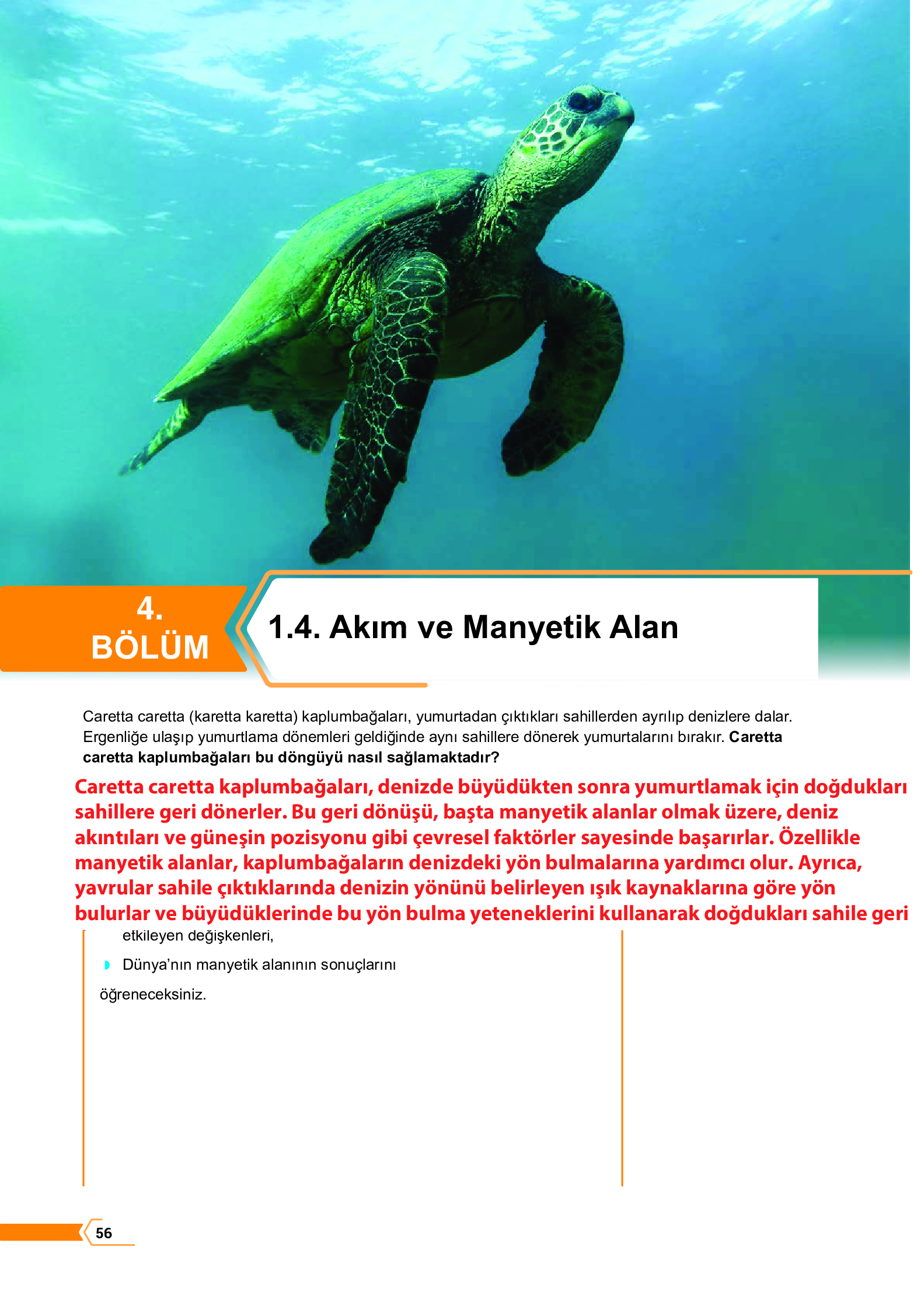 10. Sınıf Meb Yayınları Fen Lisesi Fizik Ders Kitabı Sayfa 56 Cevapları 10. Sınıf Meb Yayınları Fen Lisesi Fizik Ders Kitabı Sayfa 56 Cevapları