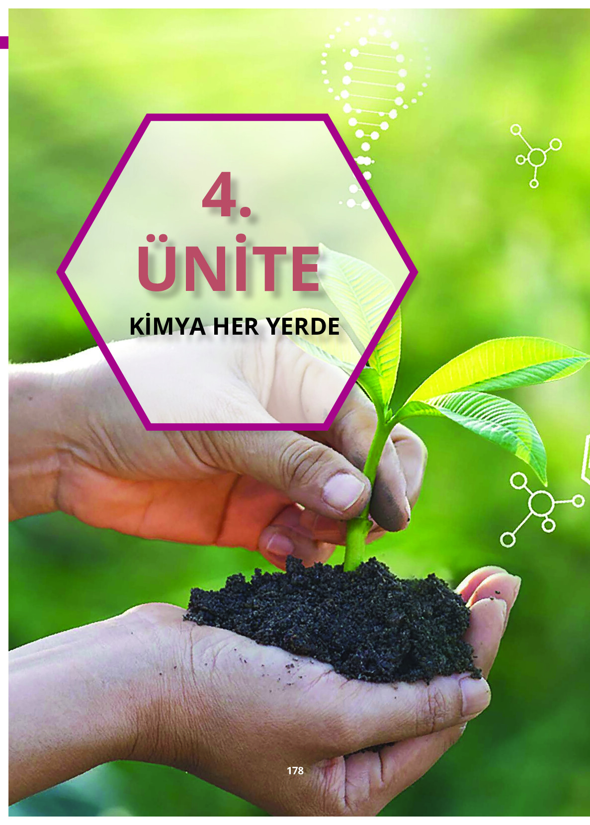 10. Sınıf Meb Yayınları Fen Lisesi Kimya Ders Kitabı Sayfa 178 Cevapları