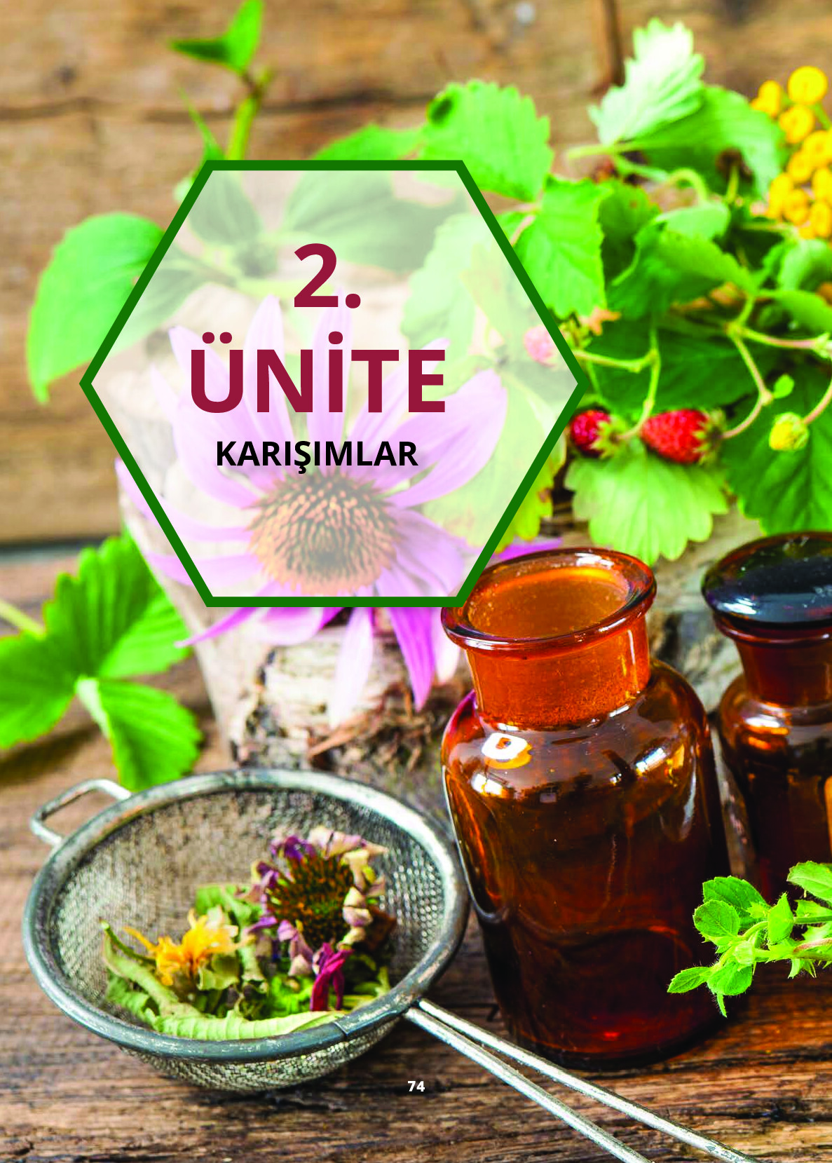 10. Sınıf Meb Yayınları Fen Lisesi Kimya Ders Kitabı Sayfa 74 Cevapları