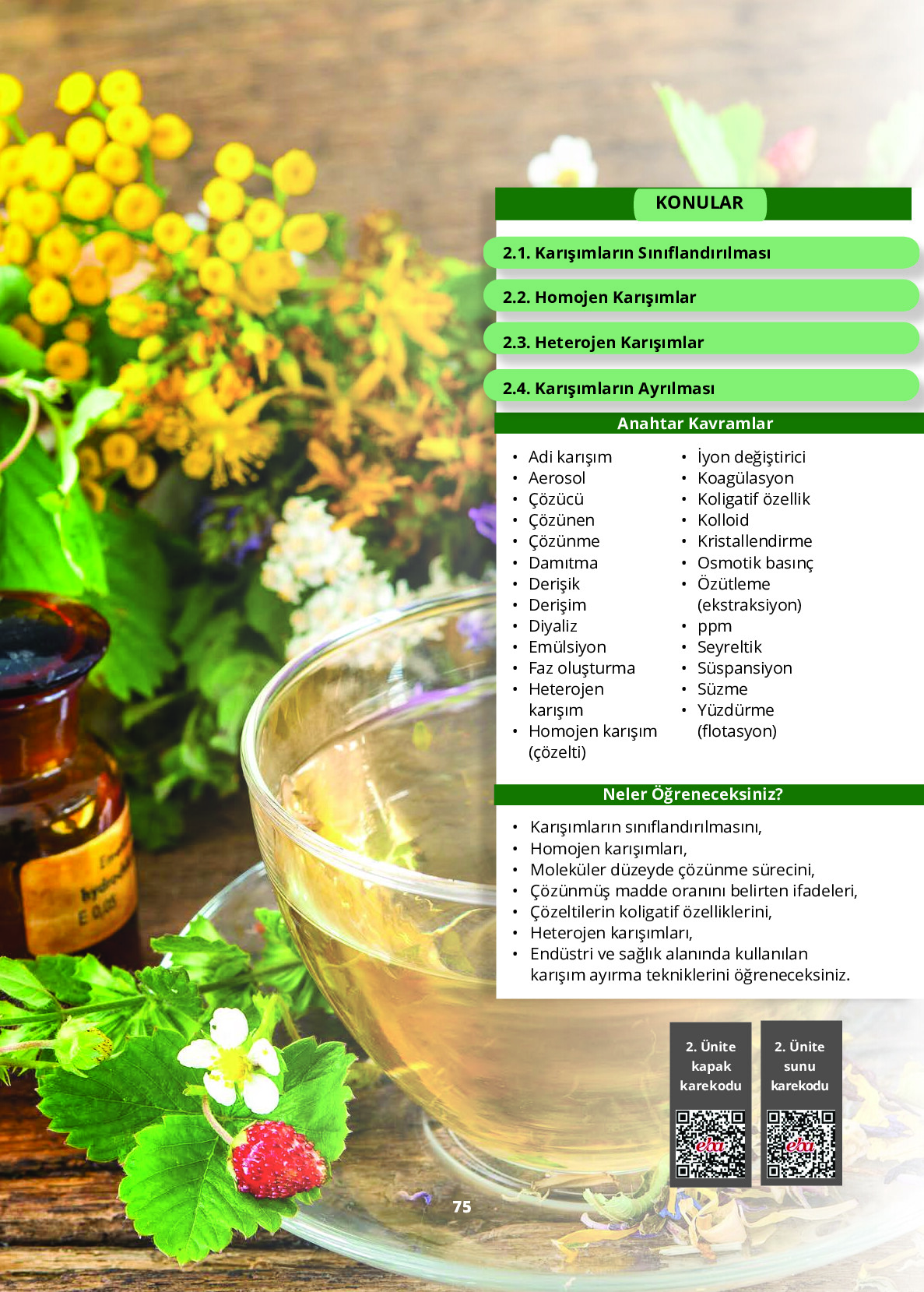 10. Sınıf Meb Yayınları Fen Lisesi Kimya Ders Kitabı Sayfa 75 Cevapları