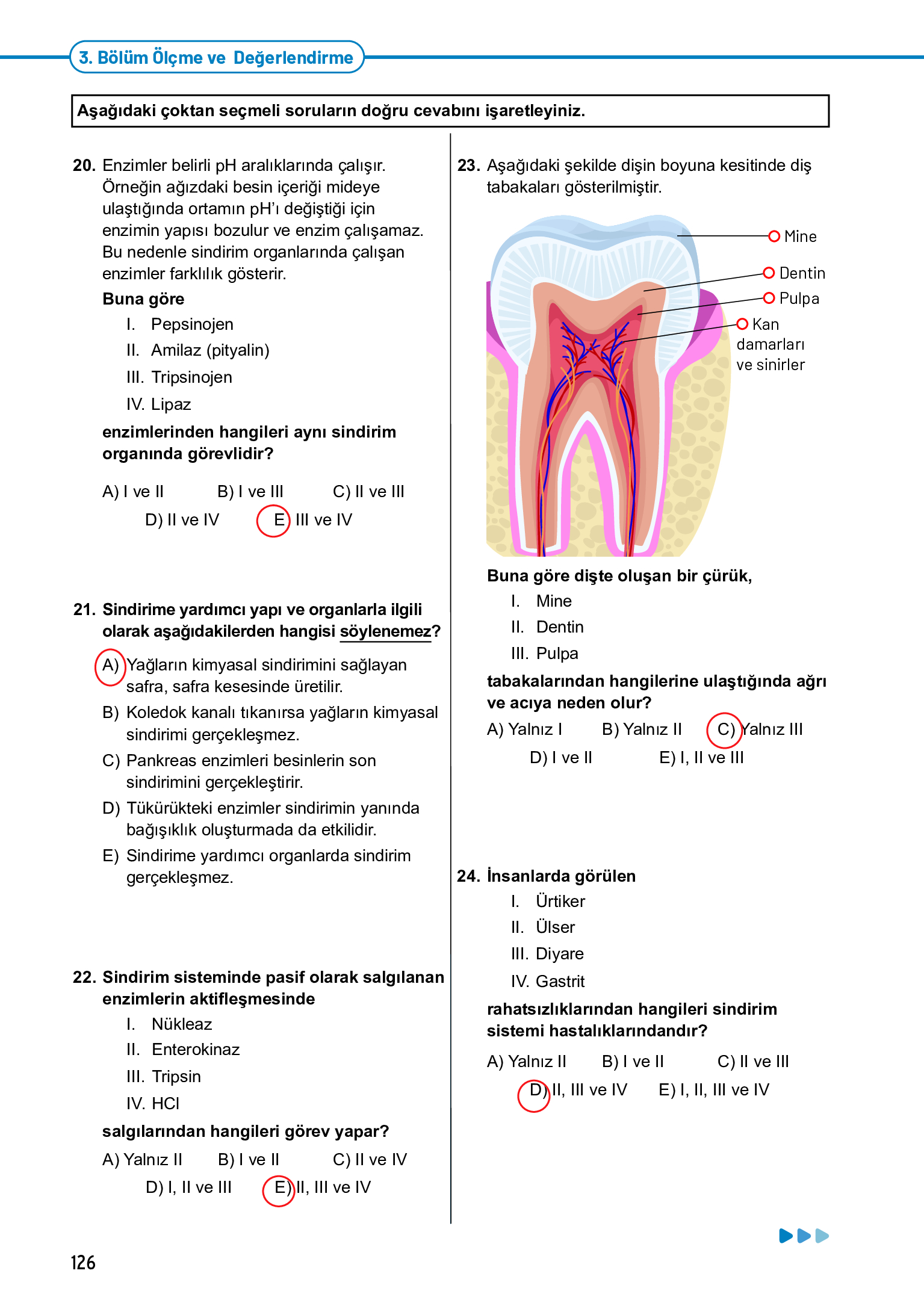11. Sınıf Meb Yayınları Fen Lisesi Biyoloji Ders Kitabı Sayfa 126 Cevapları 11. Sınıf Meb Yayınları Fen Lisesi Biyoloji Ders Kitabı Sayfa 126 Cevapları