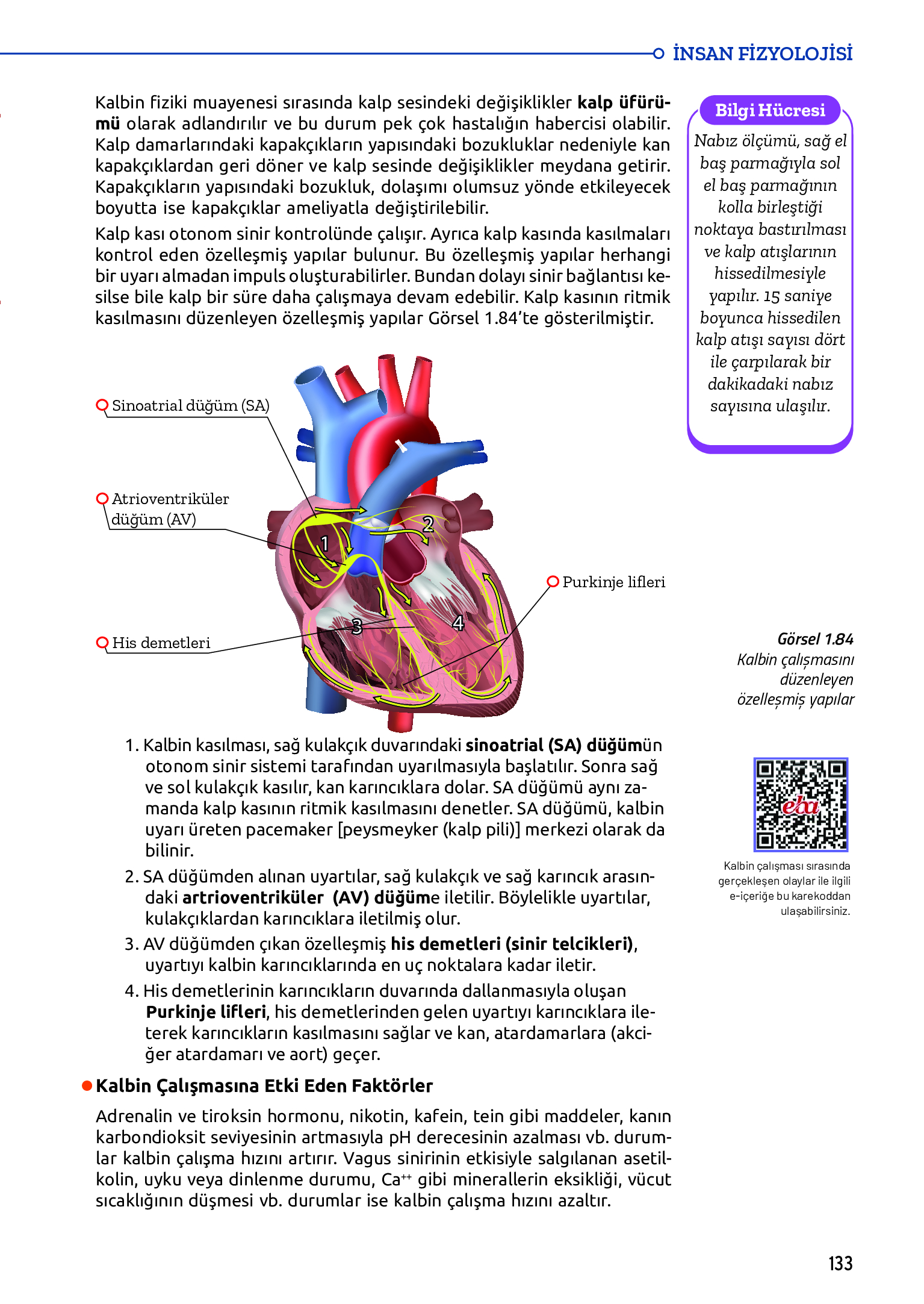 11. Sınıf Meb Yayınları Fen Lisesi Biyoloji Ders Kitabı Sayfa 133 Cevapları 11. Sınıf Meb Yayınları Fen Lisesi Biyoloji Ders Kitabı Sayfa 133 Cevapları