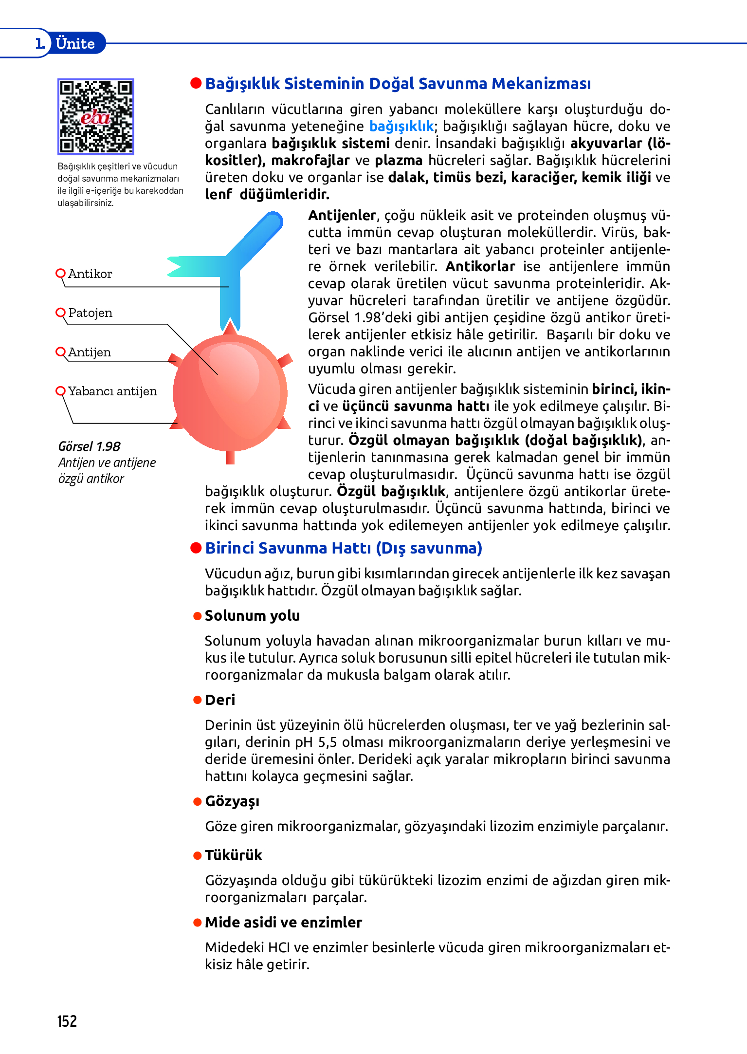 11. Sınıf Meb Yayınları Fen Lisesi Biyoloji Ders Kitabı Sayfa 152 Cevapları 11. Sınıf Meb Yayınları Fen Lisesi Biyoloji Ders Kitabı Sayfa 152 Cevapları
