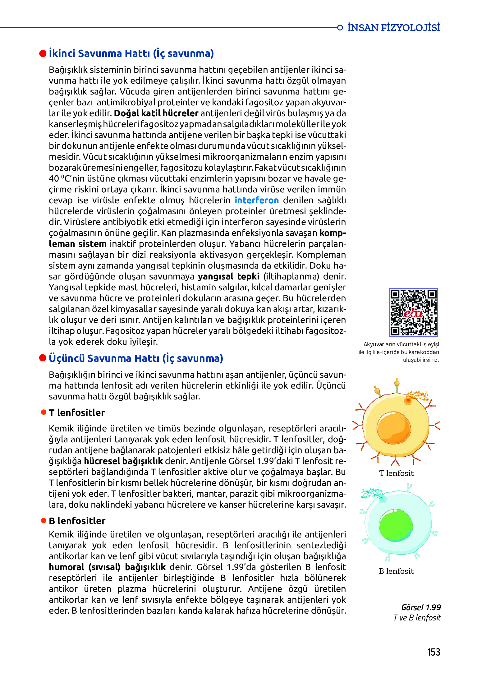 11. Sınıf Meb Yayınları Fen Lisesi Biyoloji Ders Kitabı Sayfa 153 Cevapları 11. Sınıf Meb Yayınları Fen Lisesi Biyoloji Ders Kitabı Sayfa 153 Cevapları