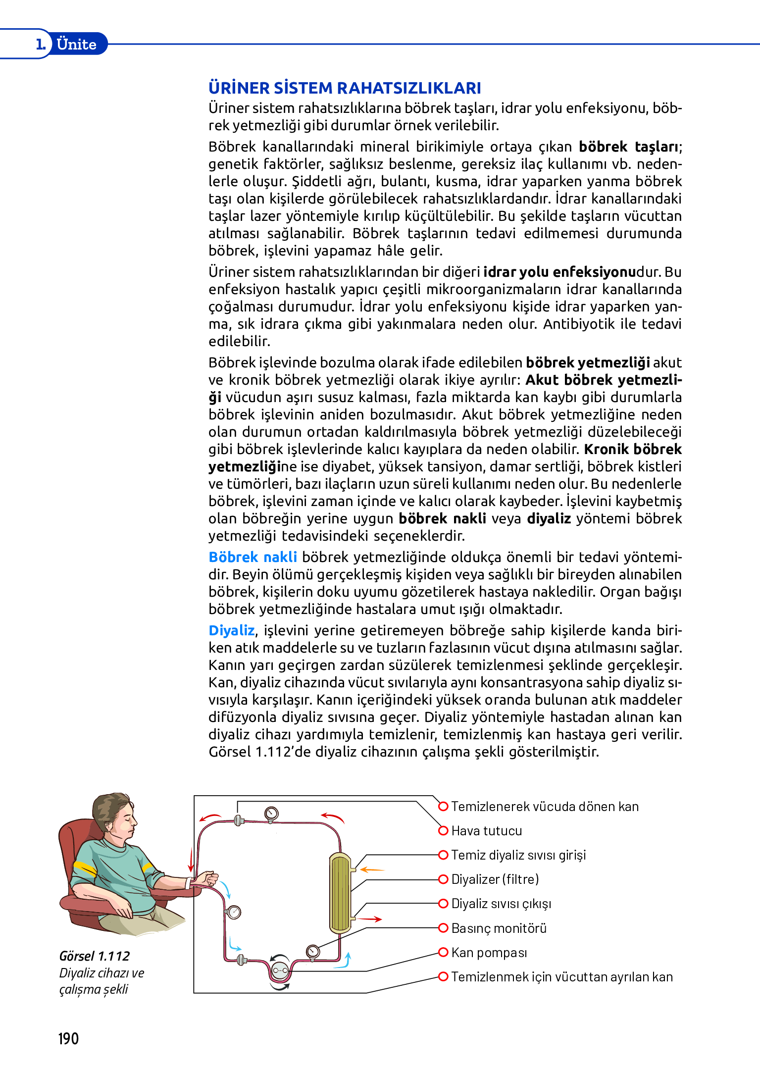 11. Sınıf Meb Yayınları Fen Lisesi Biyoloji Ders Kitabı Sayfa 190 Cevapları 11. Sınıf Meb Yayınları Fen Lisesi Biyoloji Ders Kitabı Sayfa 190 Cevapları