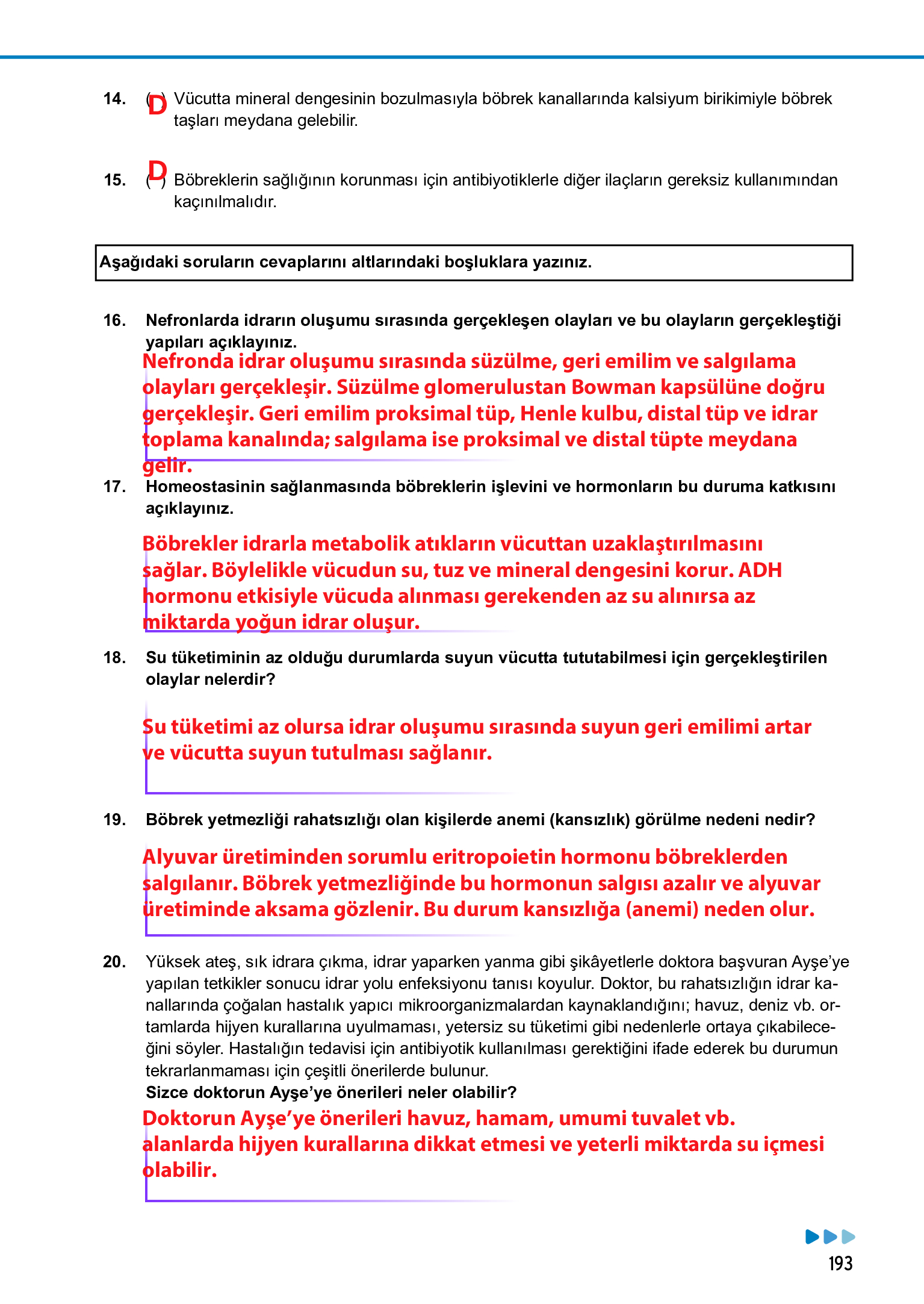 11. Sınıf Meb Yayınları Fen Lisesi Biyoloji Ders Kitabı Sayfa 193 Cevapları 11. Sınıf Meb Yayınları Fen Lisesi Biyoloji Ders Kitabı Sayfa 193 Cevapları