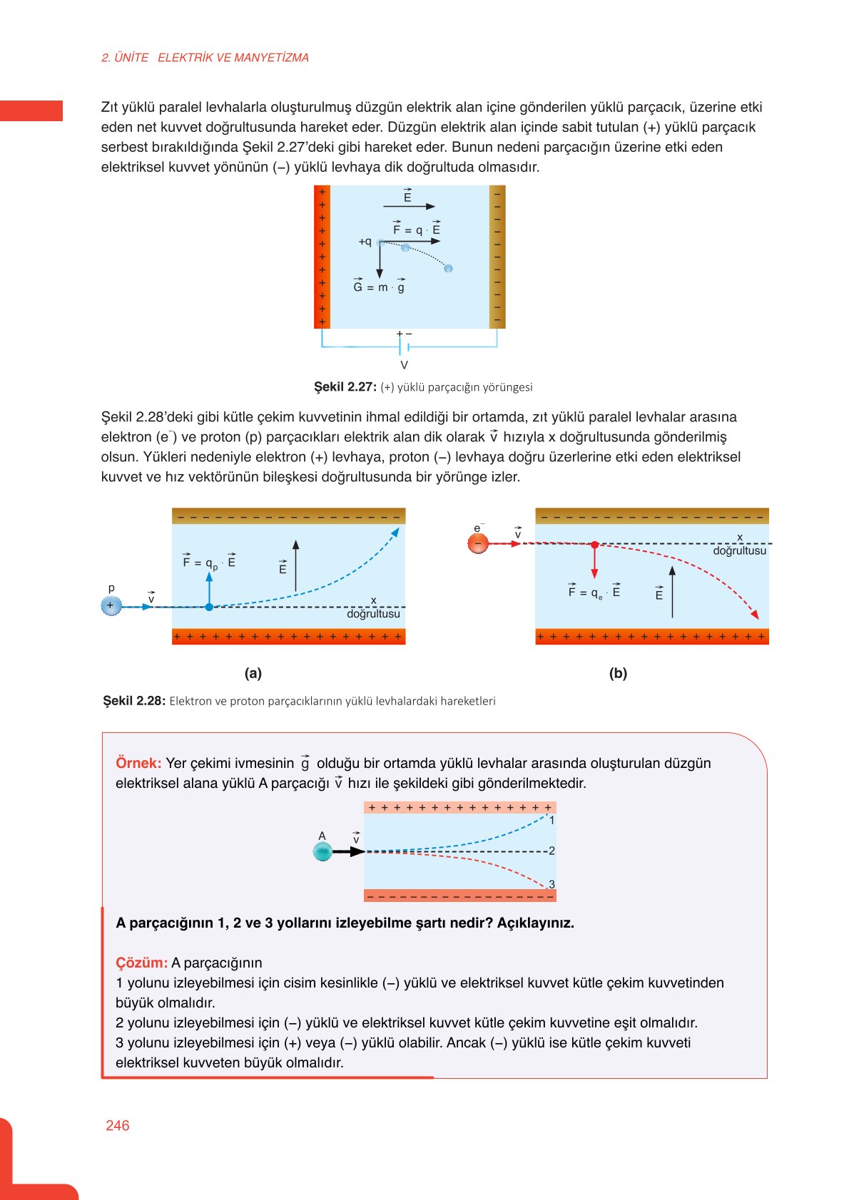 11. Sınıf Meb Yayınları Fen Lisesi Fizik Ders Kitabı Sayfa 246 Cevapları 11. Sınıf Meb Yayınları Fen Lisesi Fizik Ders Kitabı Sayfa 246 Cevapları