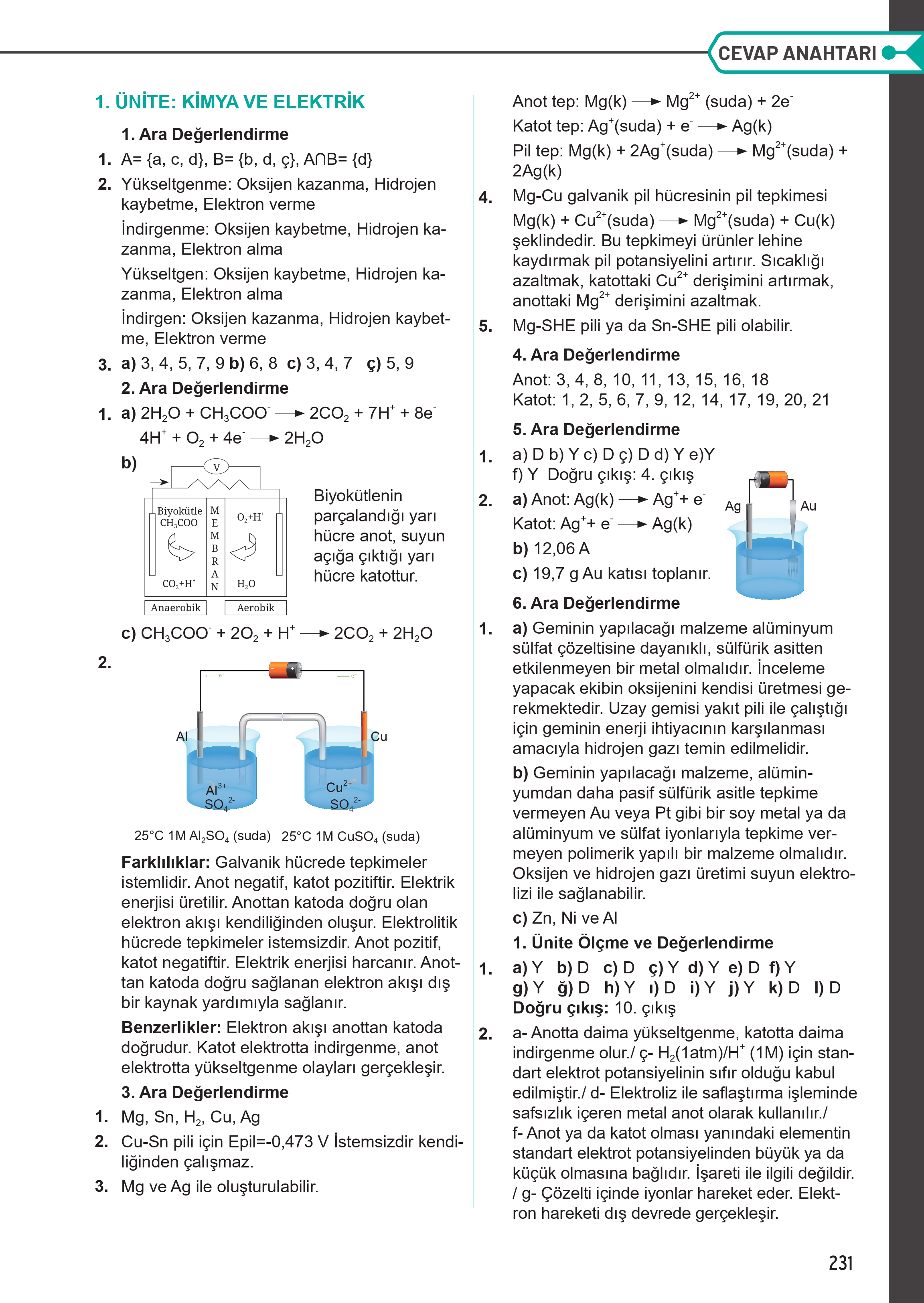 12. Sınıf Meb Yayınları Fen Lisesi Kimya Ders Kitabı Sayfa 231 Cevapları