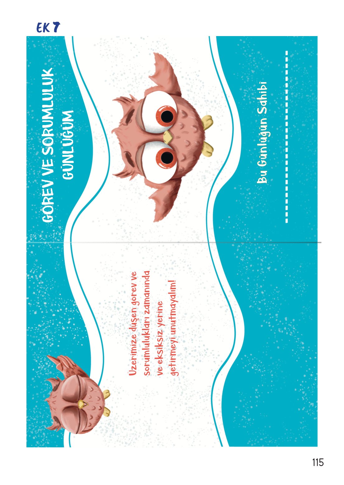 2. Sınıf Meb Yayınları Hayat Bilgisi 1. Kitap Ders Kitabı Sayfa 116 Cevapları