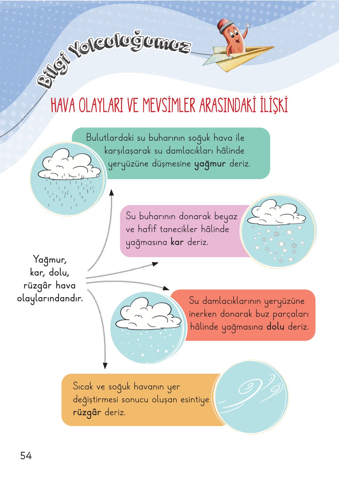 2. Sınıf Meb Yayınları Hayat Bilgisi 2. Kitap Ders Kitabı Sayfa 55 Cevapları