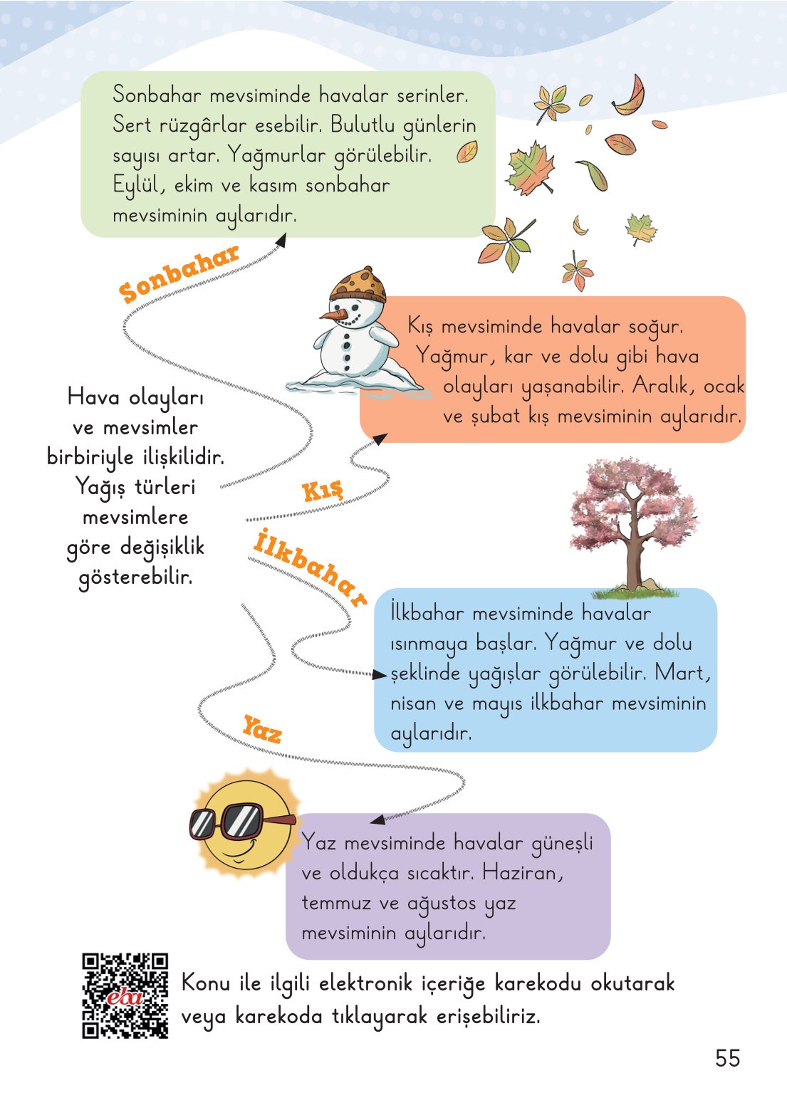 2. Sınıf Meb Yayınları Hayat Bilgisi 2. Kitap Ders Kitabı Sayfa 56 Cevapları