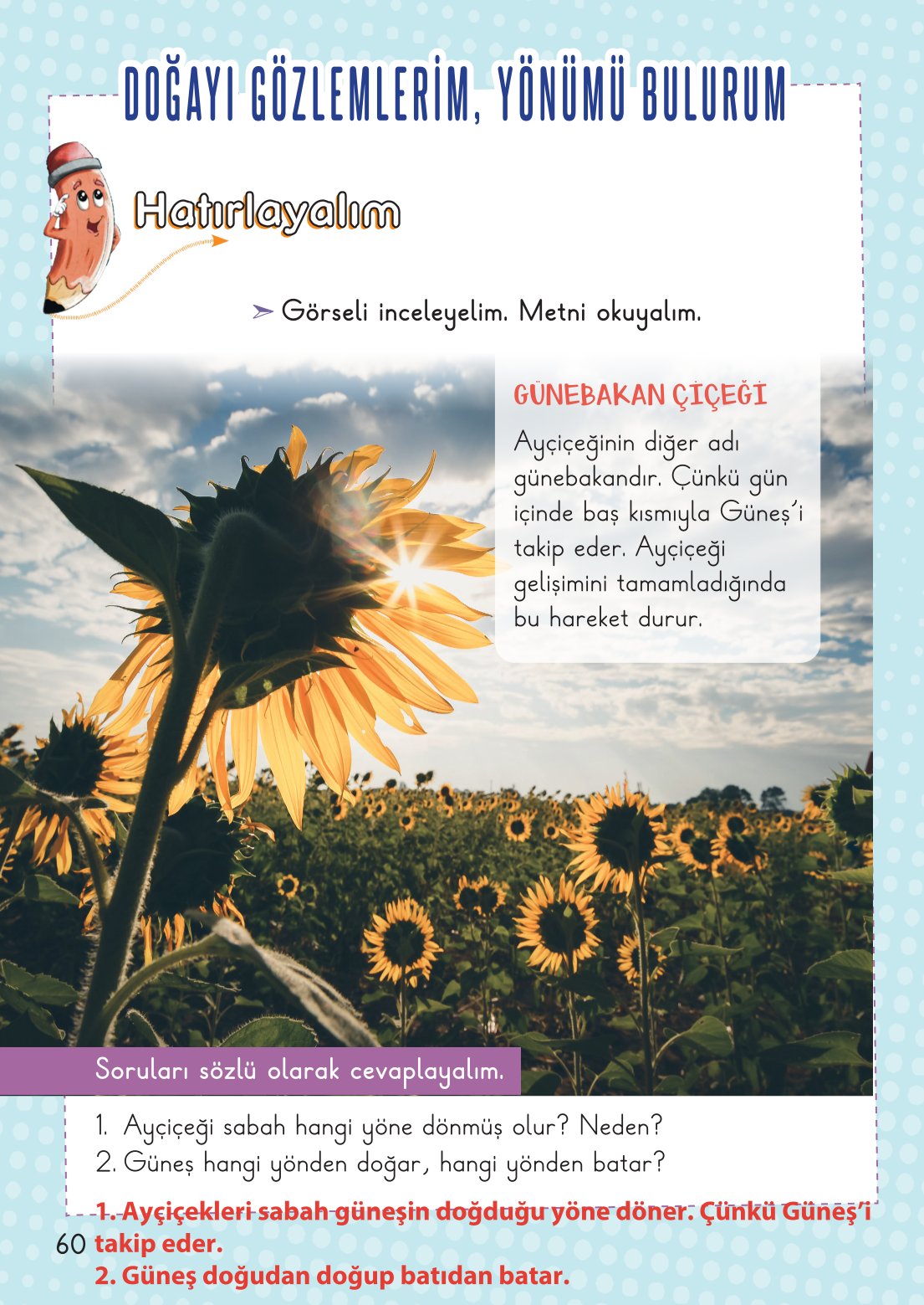 2. Sınıf Meb Yayınları Hayat Bilgisi 2. Kitap Ders Kitabı Sayfa 61 Cevapları