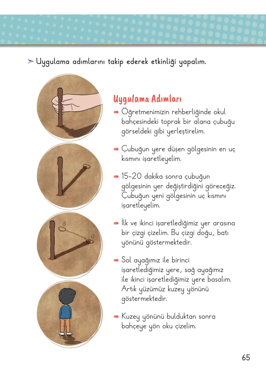 2. Sınıf Meb Yayınları Hayat Bilgisi 2. Kitap Ders Kitabı Sayfa 66 Cevapları