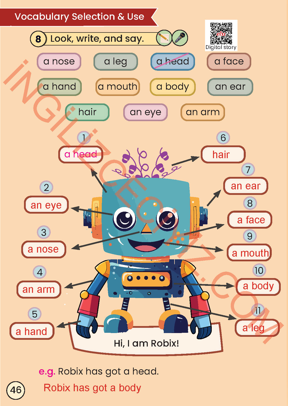 2. Sınıf Meb Yayınları İngilizce Ders Kitabı Sayfa 46 Cevapları