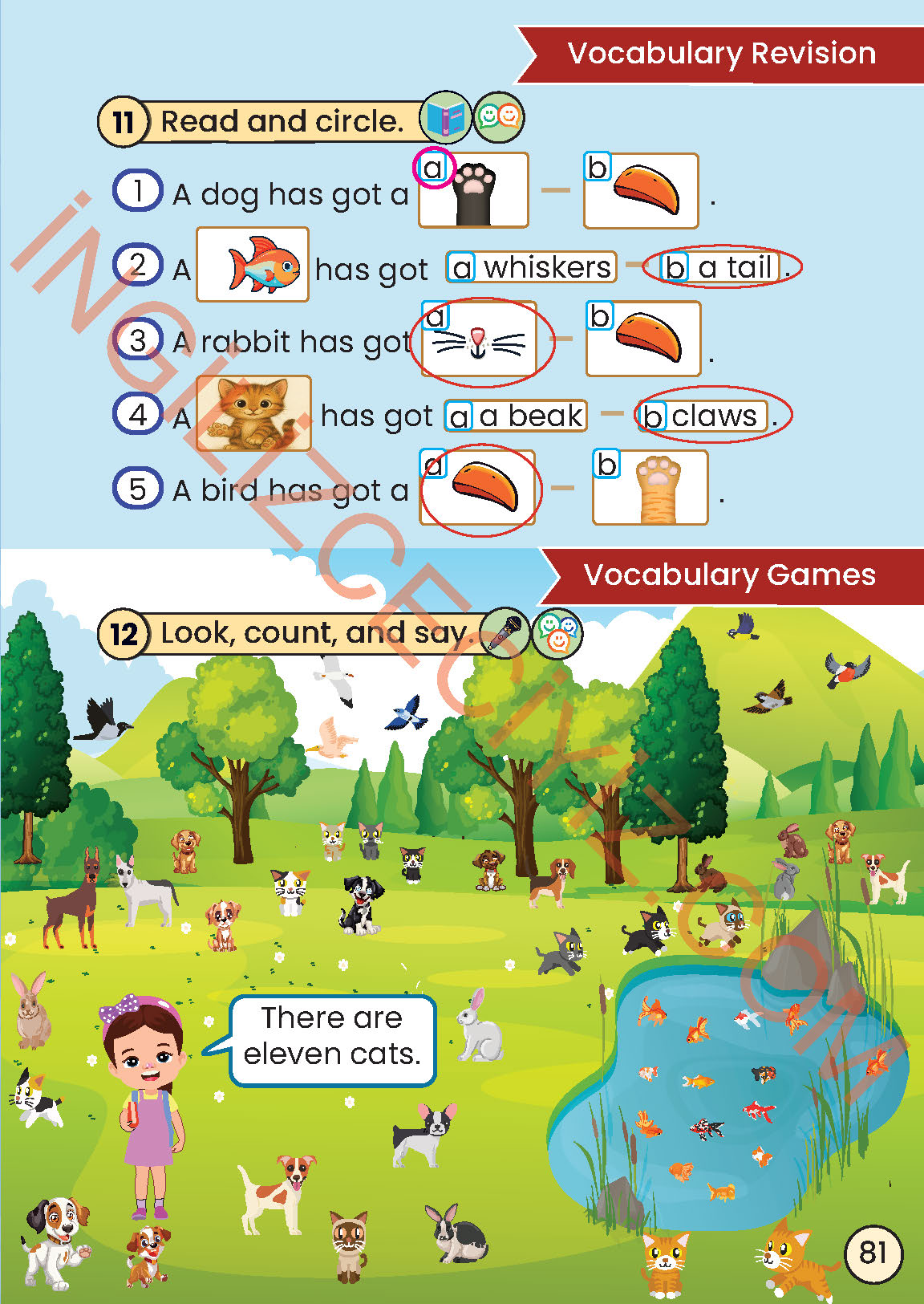 2. Sınıf Meb Yayınları İngilizce Ders Kitabı Sayfa 81 Cevapları