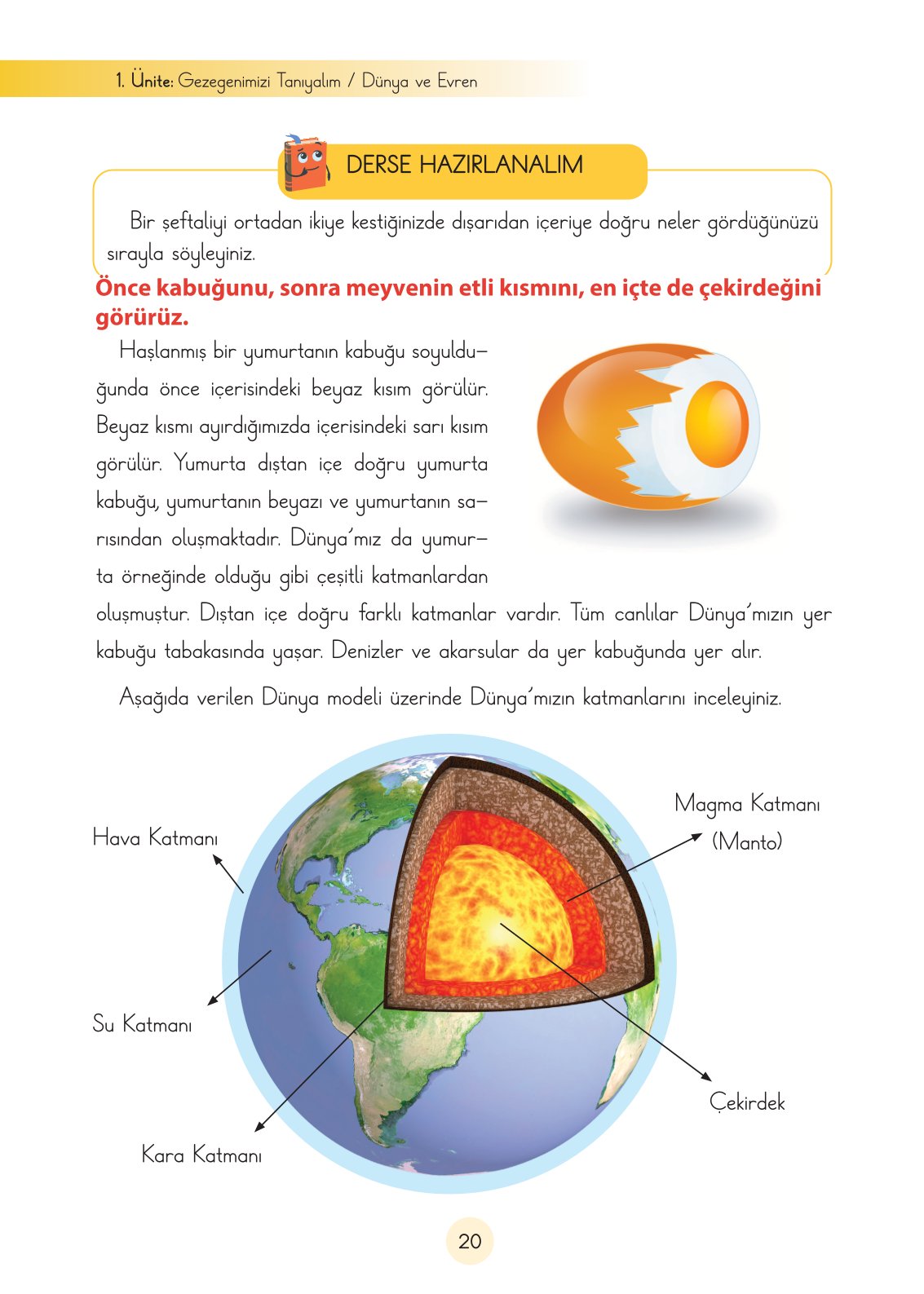 3. Sınıf Cem Yayınları Fen Bilimleri Ders Kitabı Sayfa 20 Cevapları