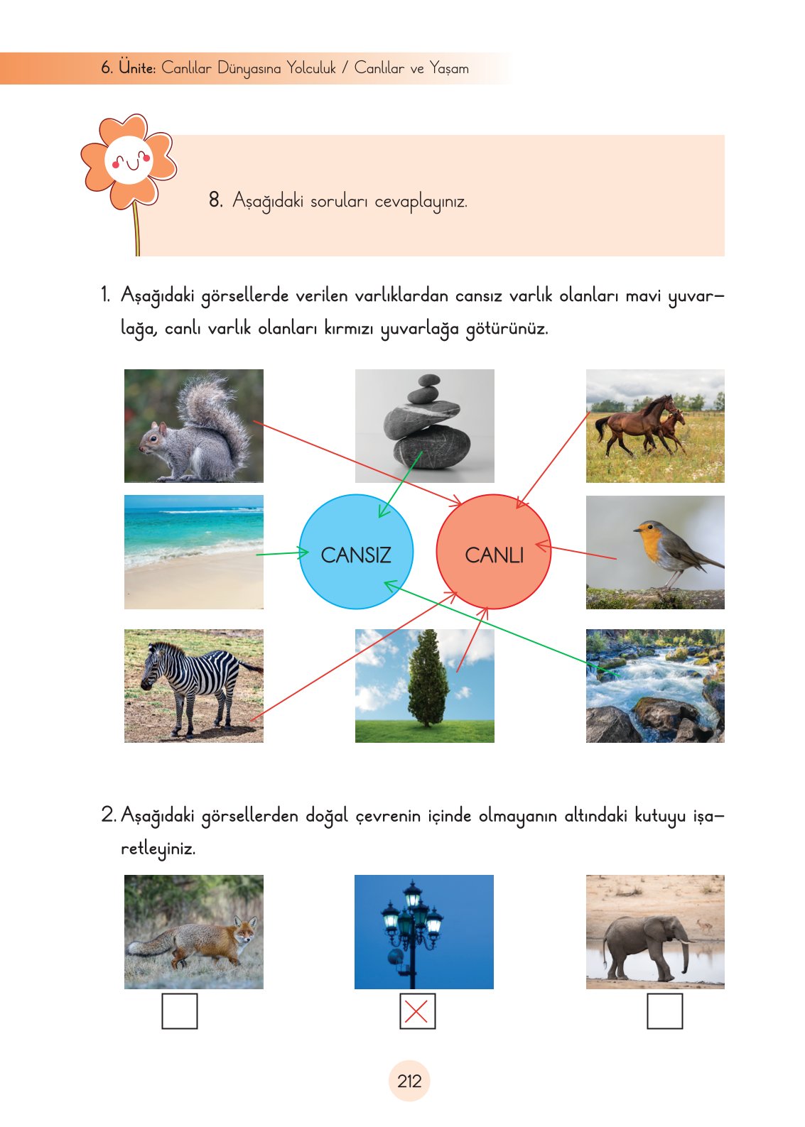 3. Sınıf Cem Yayınları Fen Bilimleri Ders Kitabı Sayfa 212 Cevapları