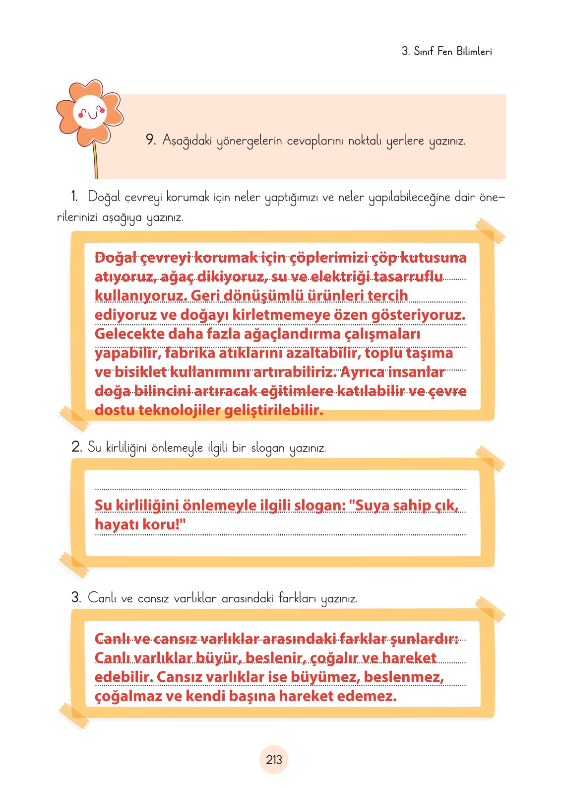 3. Sınıf Cem Yayınları Fen Bilimleri Ders Kitabı Sayfa 213 Cevapları
