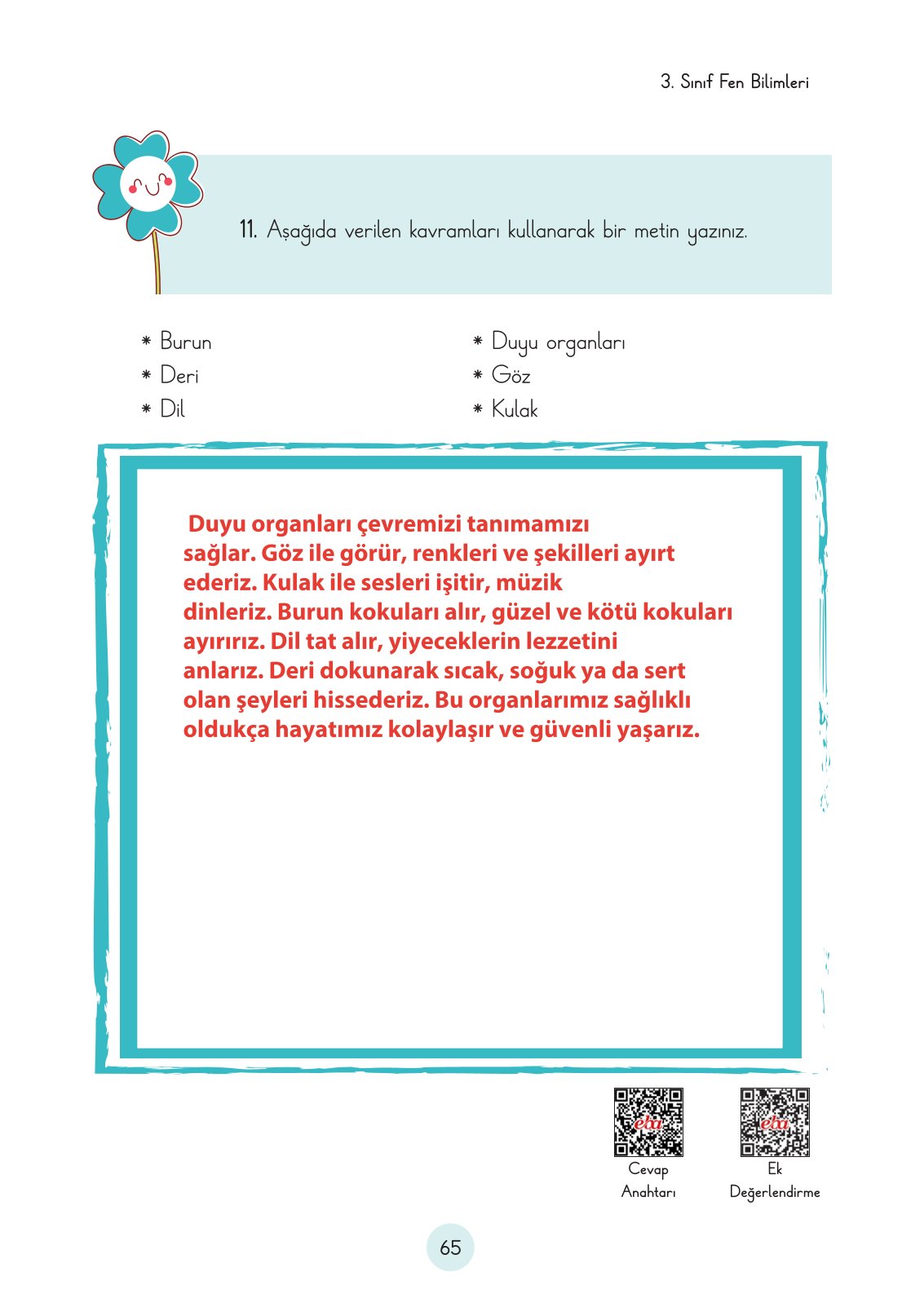 3. Sınıf Cem Yayınları Fen Bilimleri Ders Kitabı Sayfa 65 Cevapları