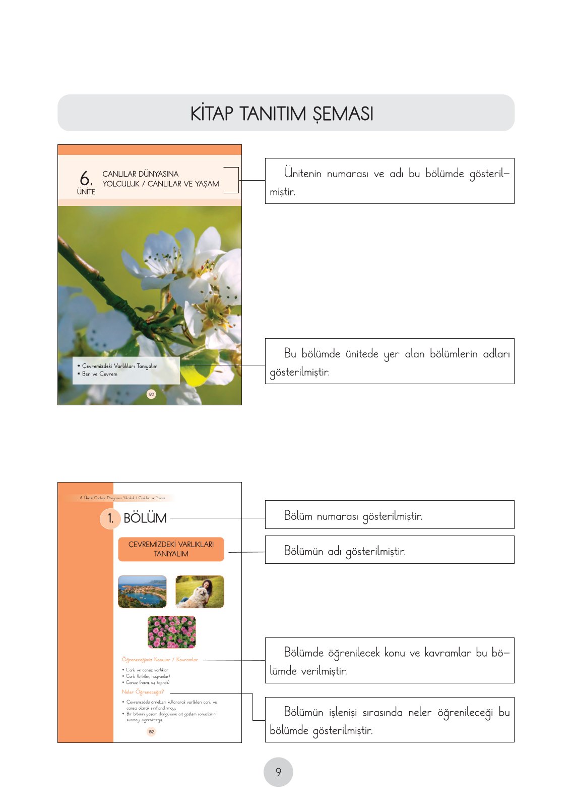 3. Sınıf Cem Yayınları Fen Bilimleri Ders Kitabı Sayfa 9 Cevapları