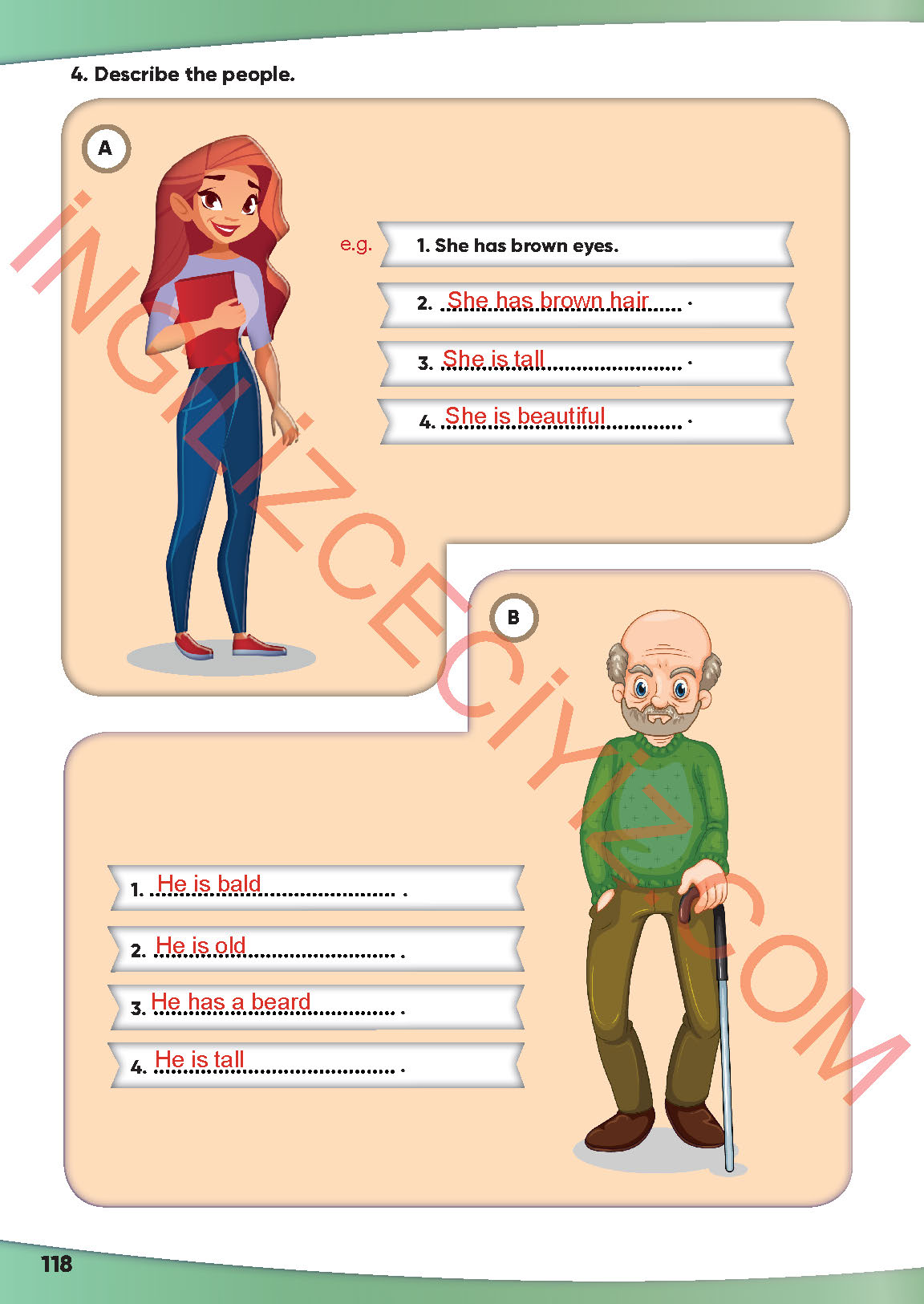 4. Sınıf Meb Yayınları İngilizce Ders Kitabı Sayfa 119 Cevapları