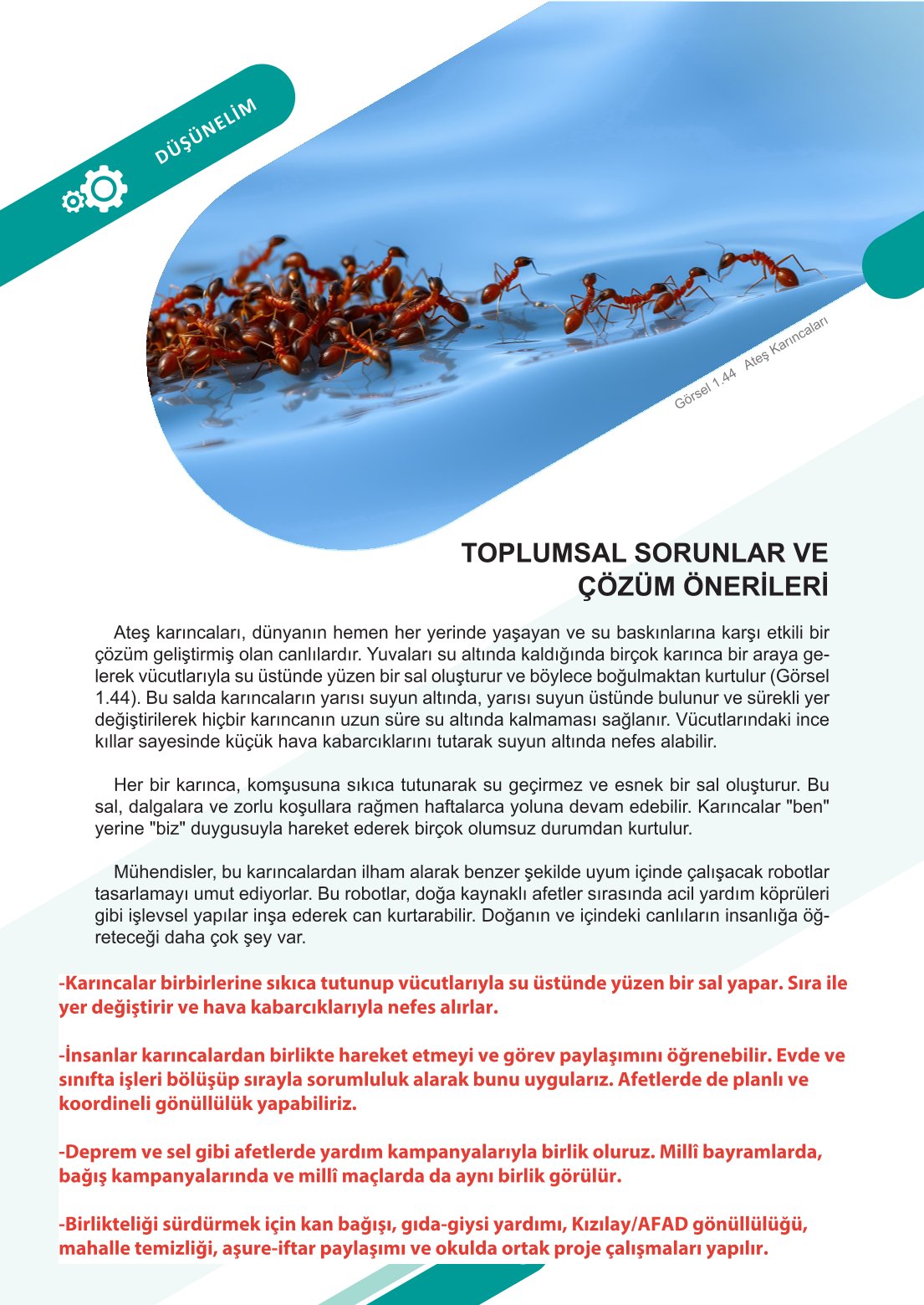 6. Sınıf Meb Yayınları Sosyal Bilgiler Ders Kitabı Sayfa 38 Cevapları