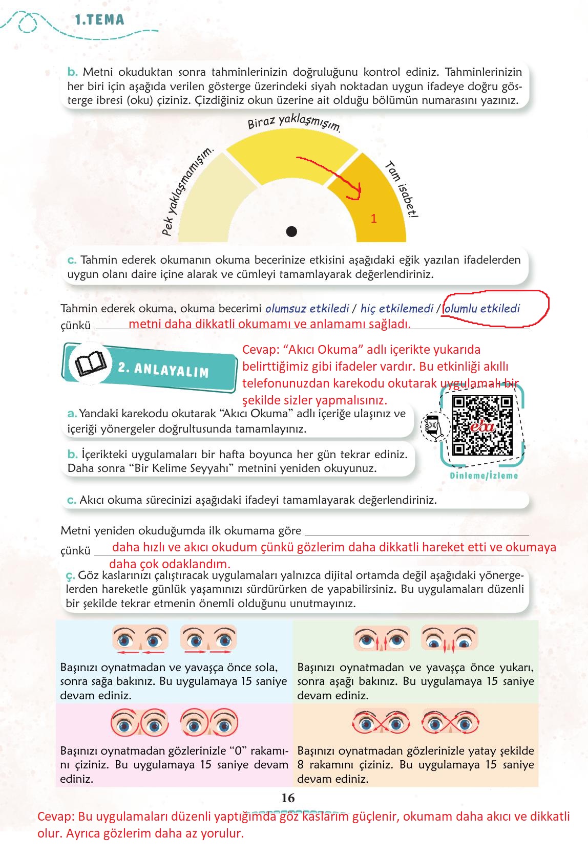 6. Sınıf Meb Yayınları Türkçe Ders Kitabı Sayfa 17 Cevapları