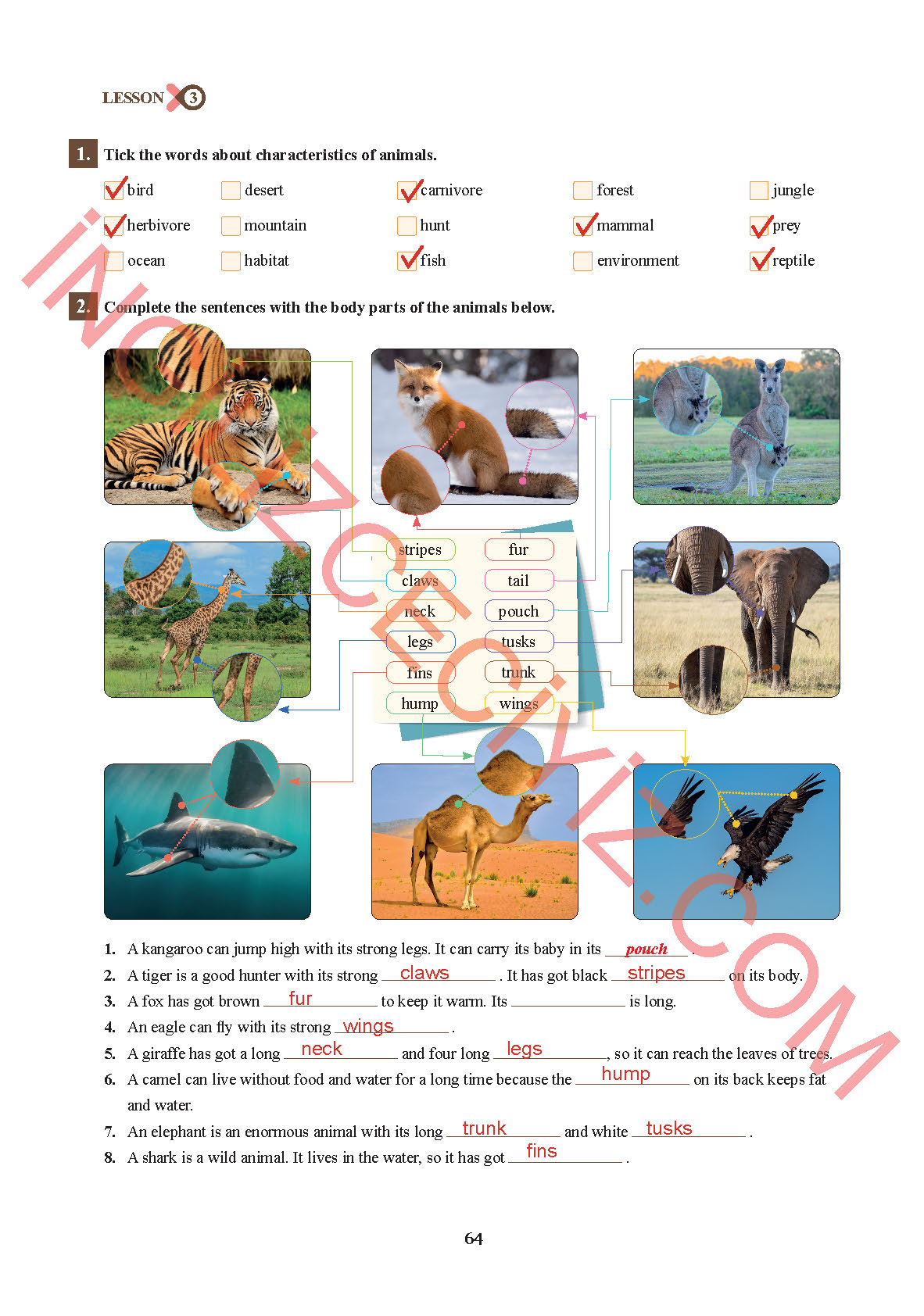 7. Sınıf Sdr İpekyolu Yayıncılık İngilizce Ders Kitabı Sayfa 64 Cevapları