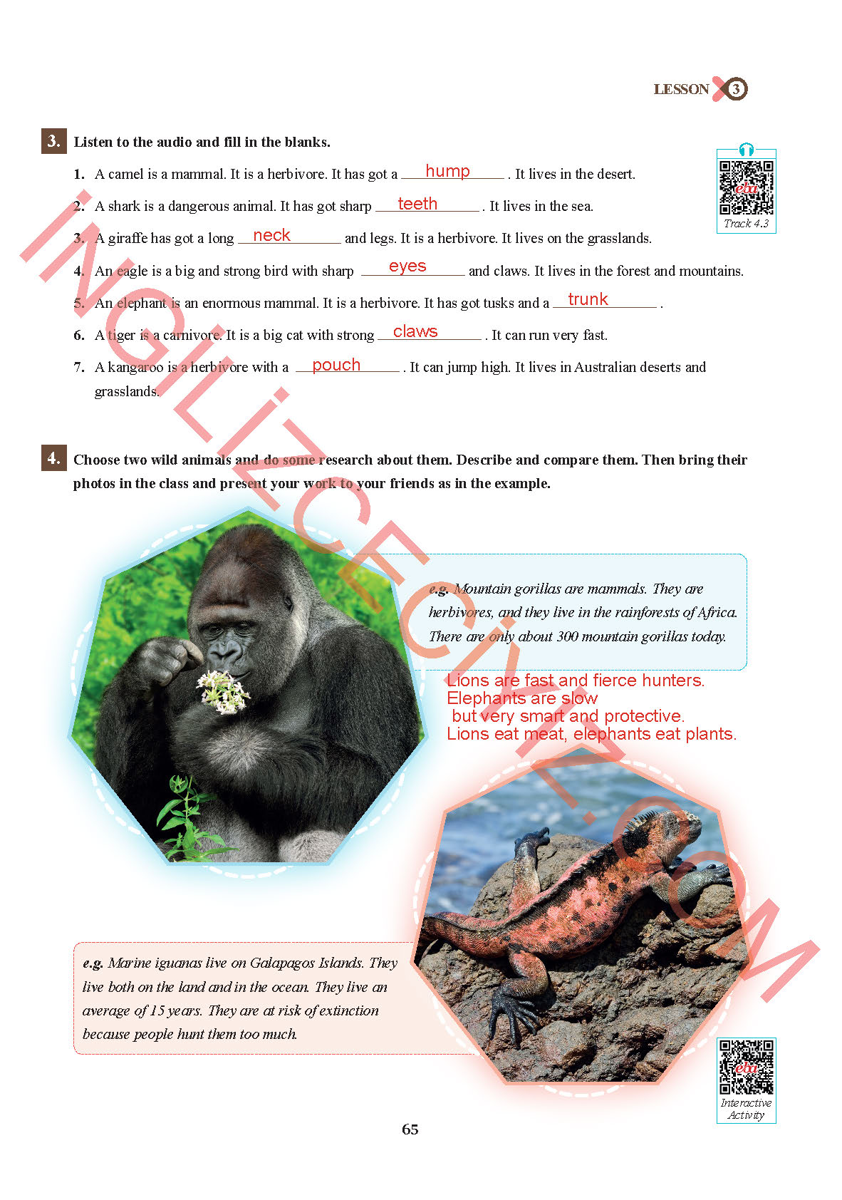 7. Sınıf Sdr İpekyolu Yayıncılık İngilizce Ders Kitabı Sayfa 65 Cevapları