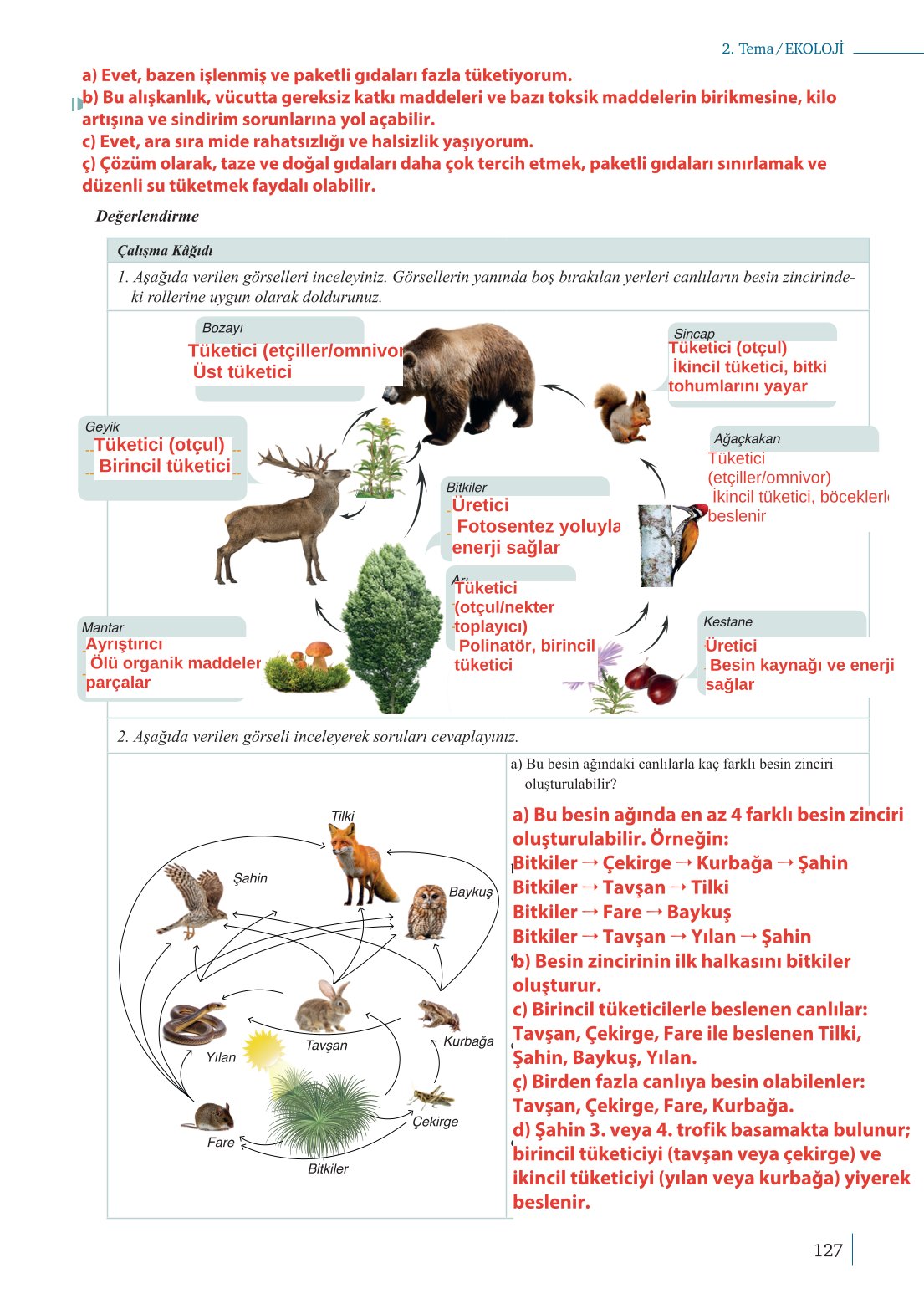 10. Sınıf Meb Yayınları Biyoloji Ders Kitabı Sayfa 127 Cevapları