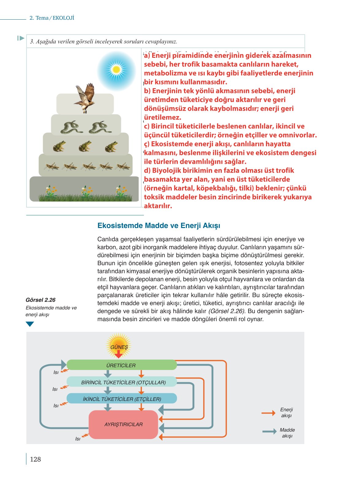 10. Sınıf Meb Yayınları Biyoloji Ders Kitabı Sayfa 128 Cevapları