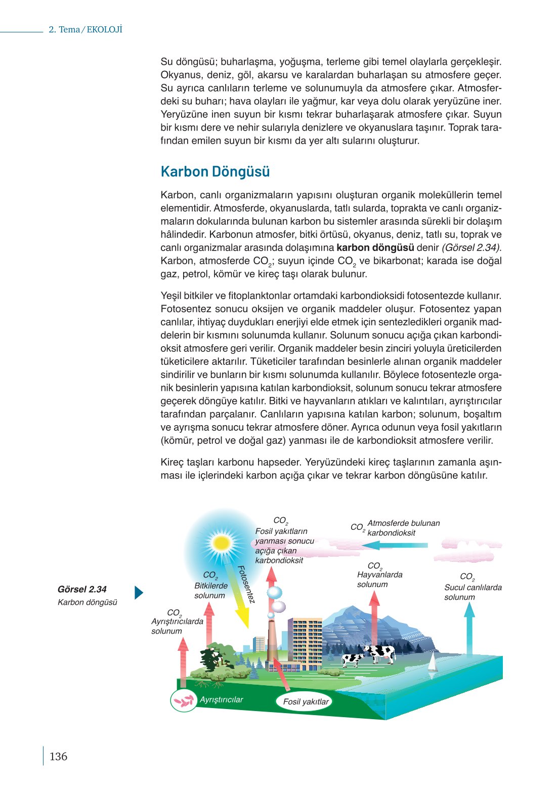 10. Sınıf Meb Yayınları Biyoloji Ders Kitabı Sayfa 136 Cevapları 10. Sınıf Meb Yayınları Biyoloji Ders Kitabı Sayfa 136 Cevapları
