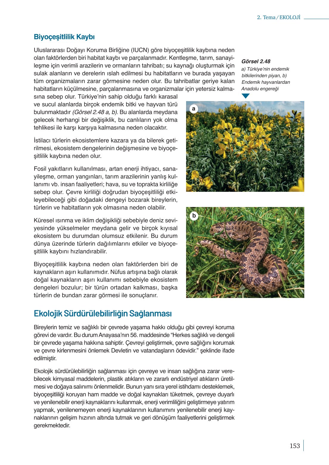 10. Sınıf Meb Yayınları Biyoloji Ders Kitabı Sayfa 153 Cevapları
