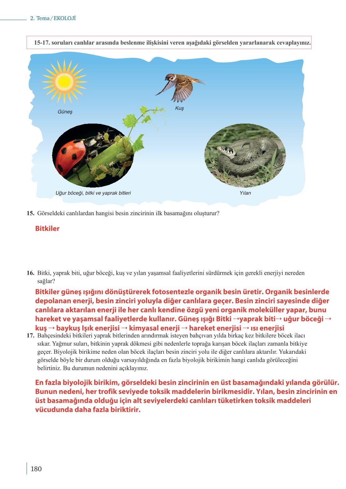 10. Sınıf Meb Yayınları Biyoloji Ders Kitabı Sayfa 180 Cevapları 10. Sınıf Meb Yayınları Biyoloji Ders Kitabı Sayfa 180 Cevapları