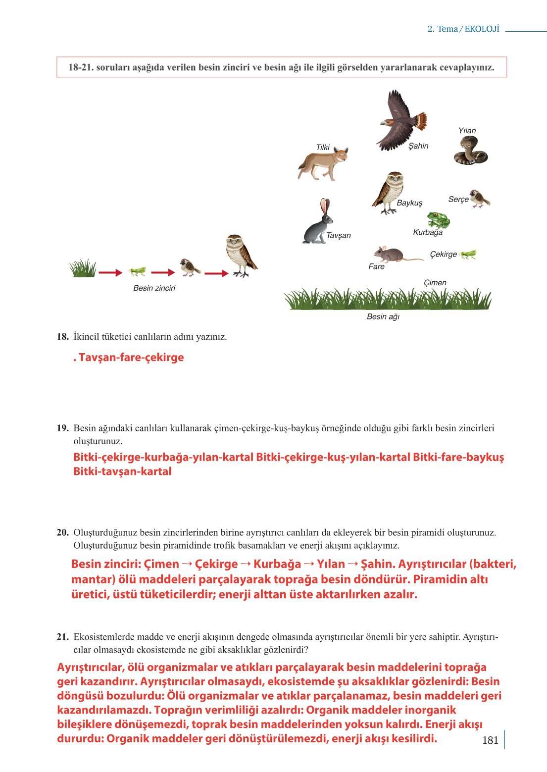 10. Sınıf Meb Yayınları Biyoloji Ders Kitabı Sayfa 181 Cevapları 10. Sınıf Meb Yayınları Biyoloji Ders Kitabı Sayfa 181 Cevapları