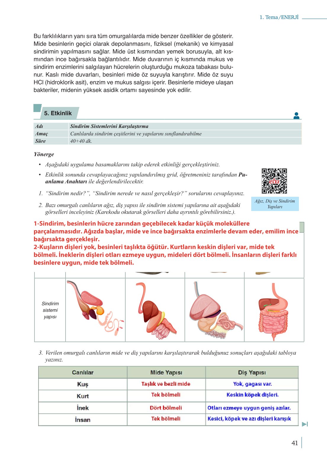 10. Sınıf Meb Yayınları Biyoloji Ders Kitabı Sayfa 41 Cevapları