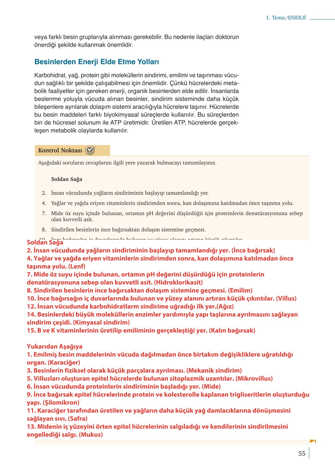 10. Sınıf Meb Yayınları Biyoloji Ders Kitabı Sayfa 55 Cevapları