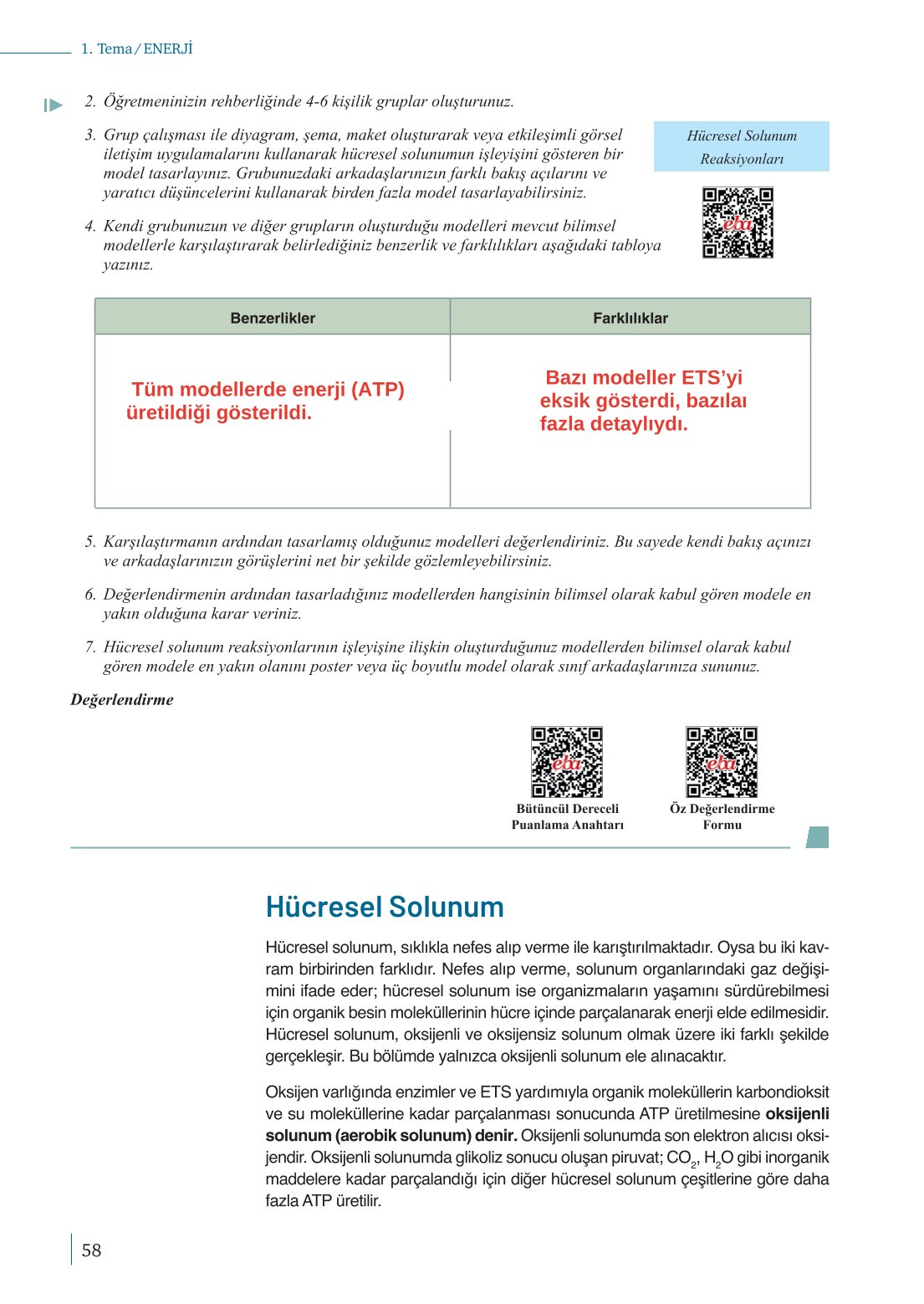 10. Sınıf Meb Yayınları Biyoloji Ders Kitabı Sayfa 58 Cevapları