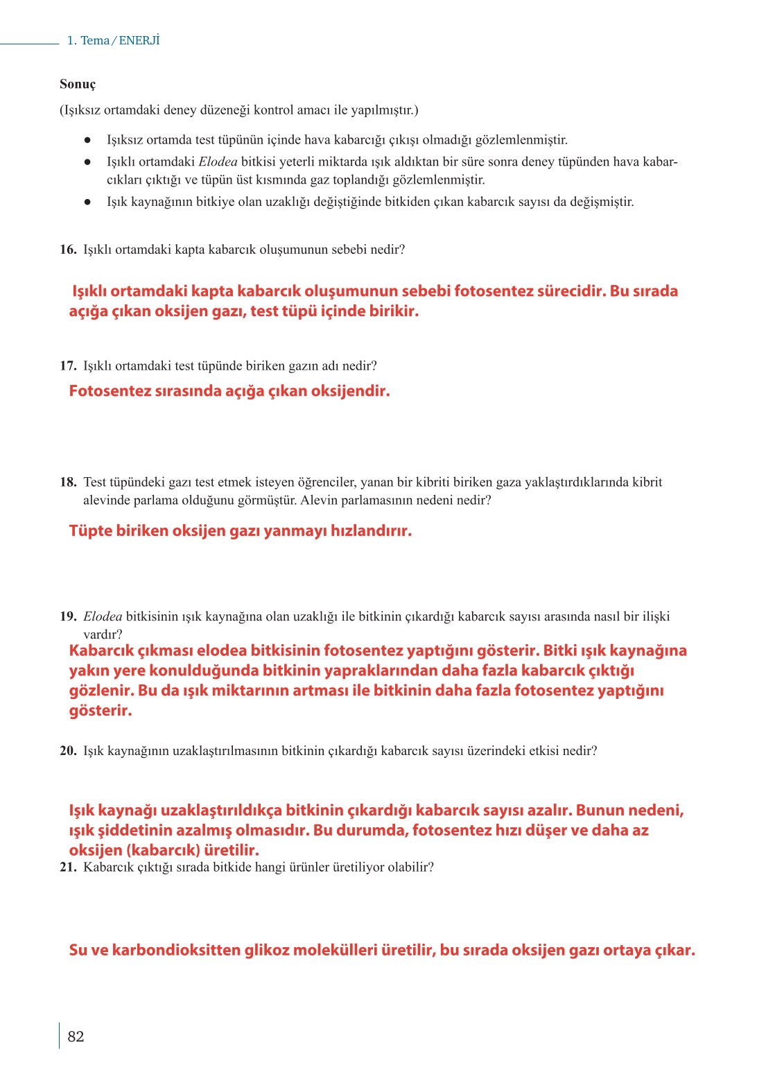 10. Sınıf Meb Yayınları Biyoloji Ders Kitabı Sayfa 82 Cevapları