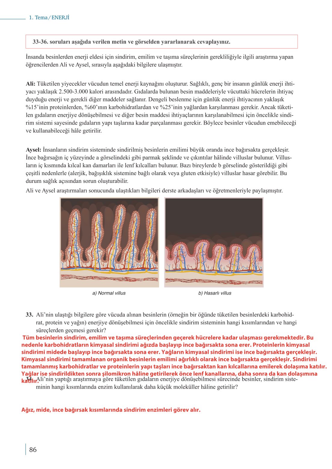10. Sınıf Meb Yayınları Biyoloji Ders Kitabı Sayfa 86 Cevapları