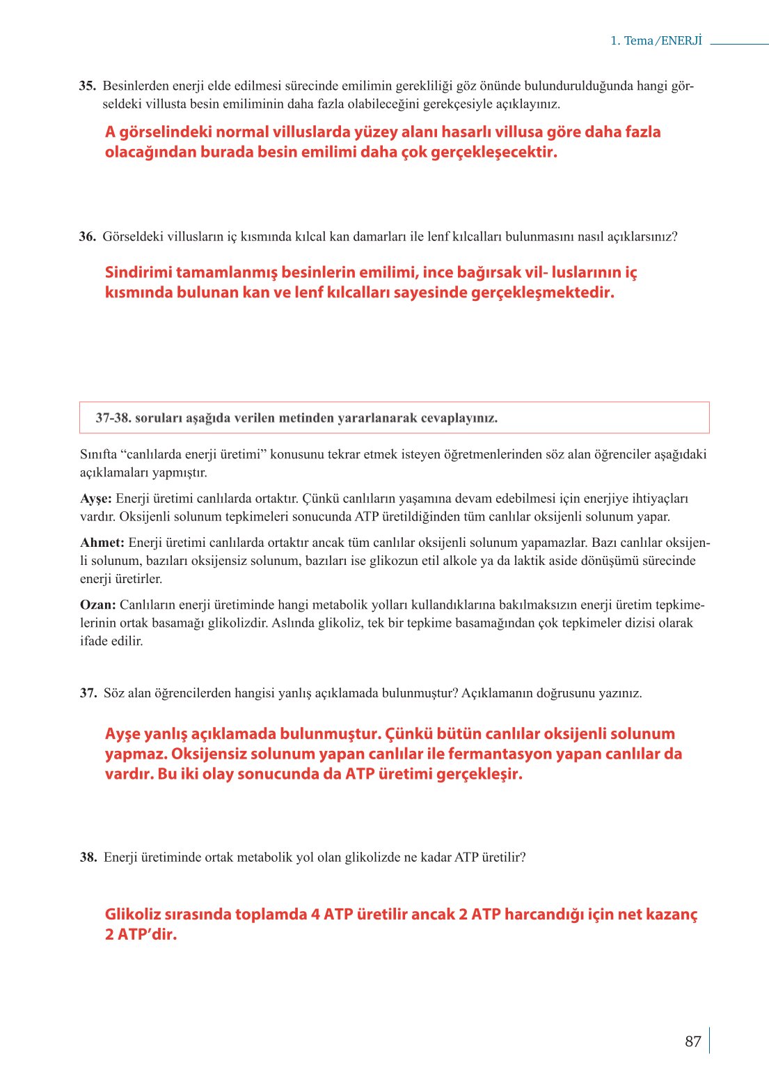 10. Sınıf Meb Yayınları Biyoloji Ders Kitabı Sayfa 87 Cevapları