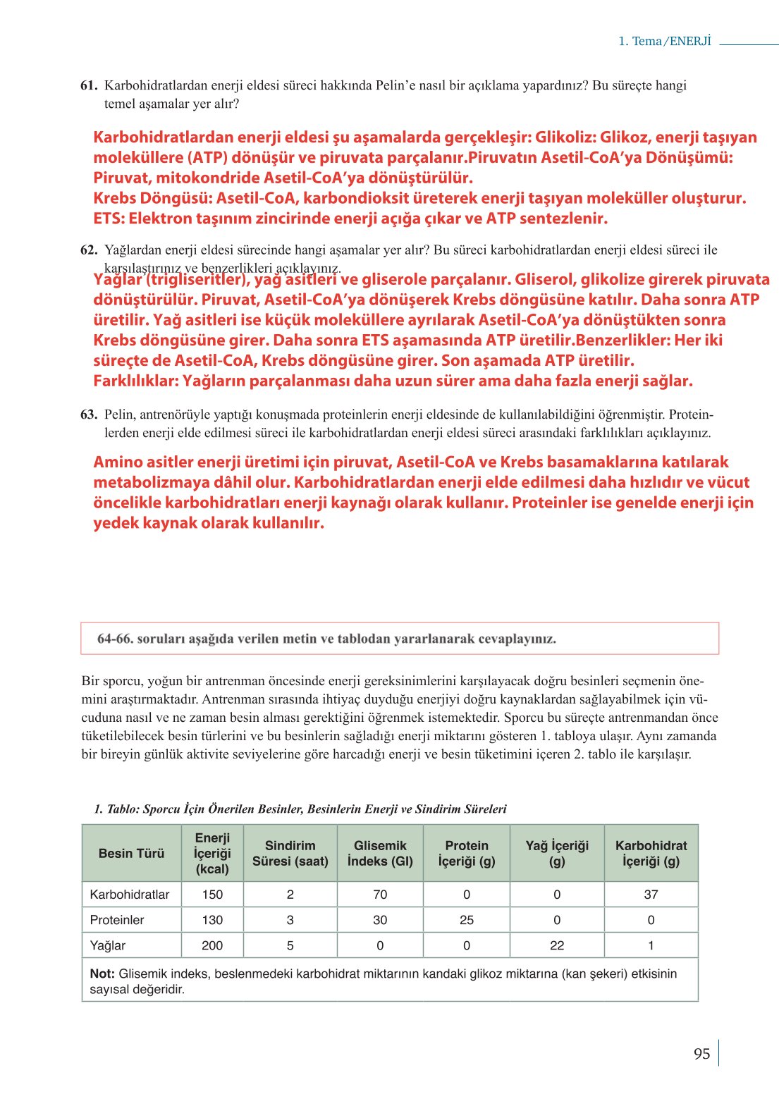 10. Sınıf Meb Yayınları Biyoloji Ders Kitabı Sayfa 95 Cevapları