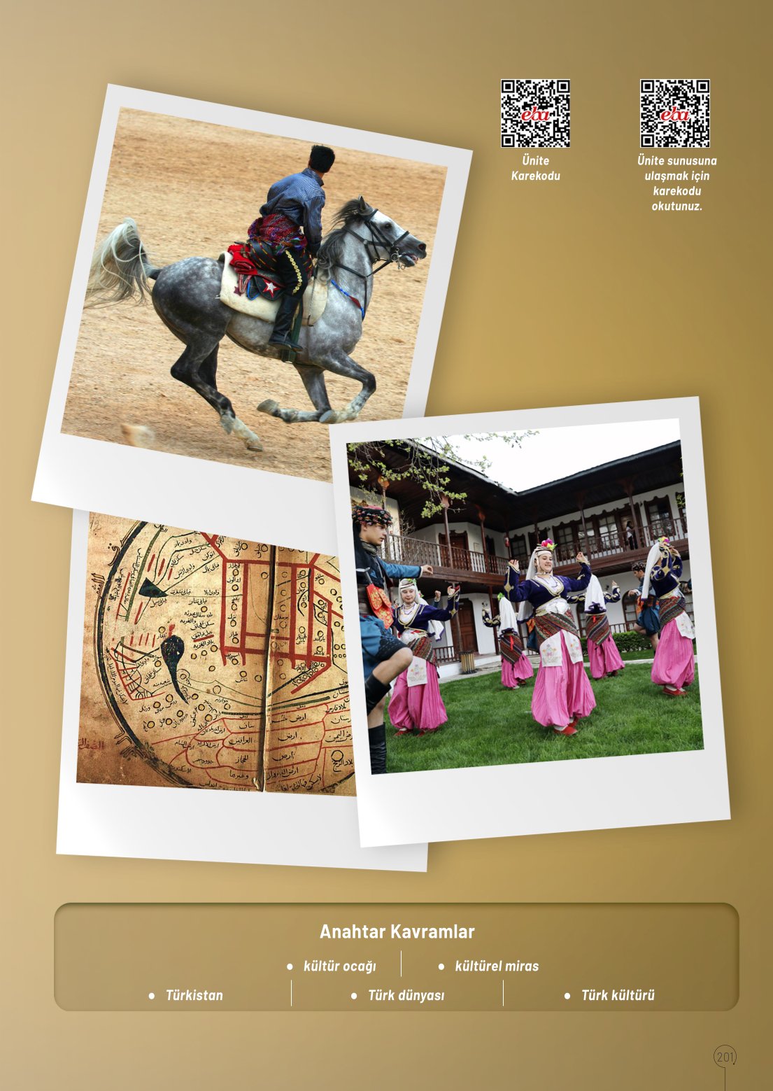 10. Sınıf Meb Yayınları Coğrafya Ders Kitabı Sayfa 201 Cevapları