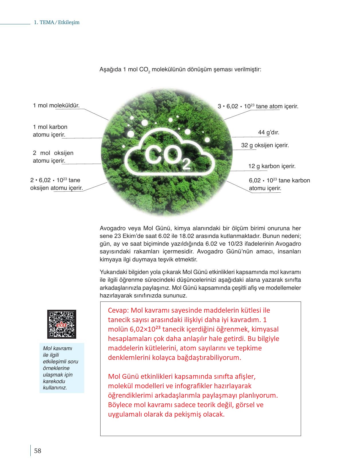 10. Sınıf Meb Yayınları Kimya Ders Kitabı Sayfa 58 Cevapları
